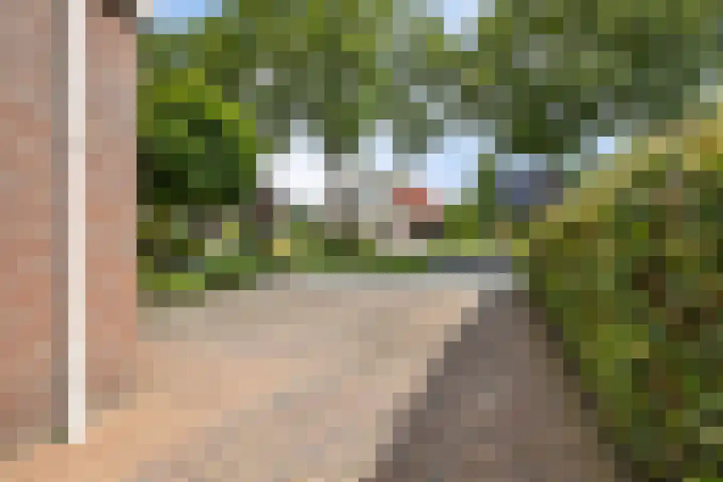 Dijkhuizenweg 77 Appingedam thumbnail 15