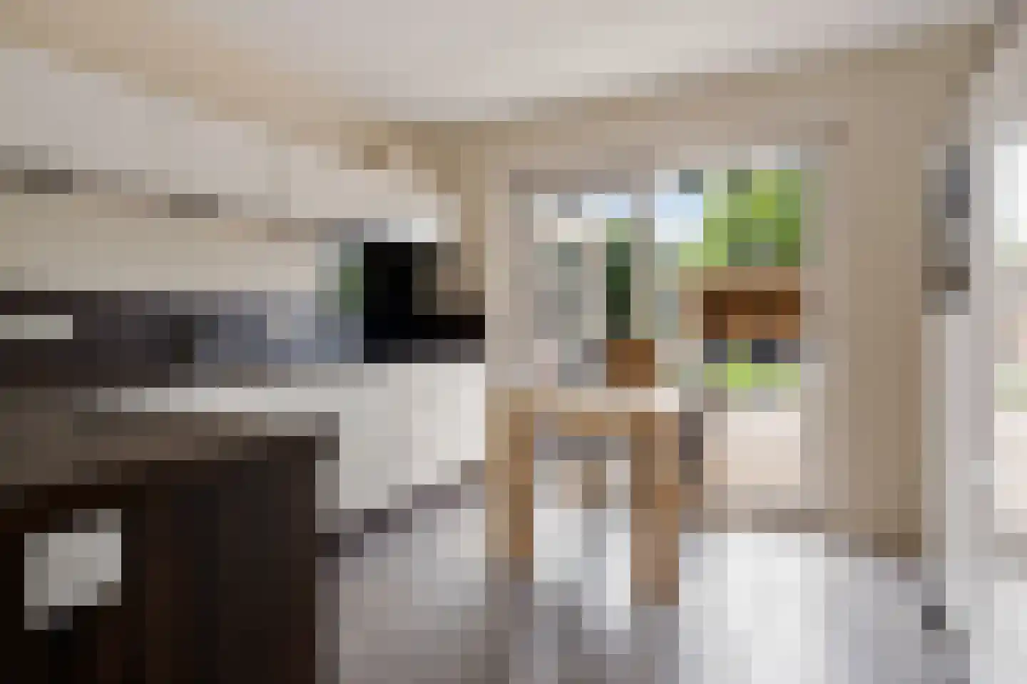 Dijkhuizenweg 77 Appingedam thumbnail 34