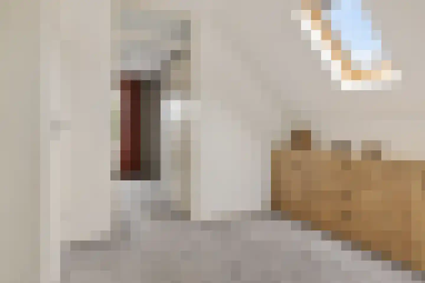 Dijkhuizenweg 77 Appingedam thumbnail 42