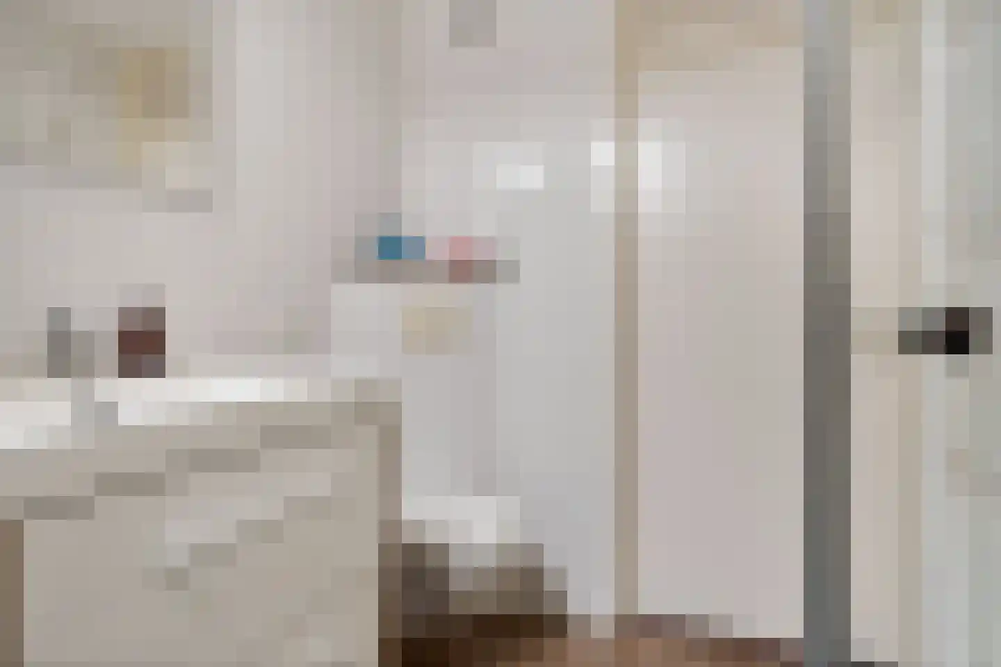 Dijkhuizenweg 77 Appingedam thumbnail 51