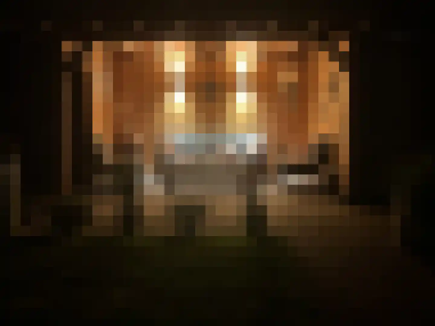 Dijkhuizenweg 77 Appingedam thumbnail 9