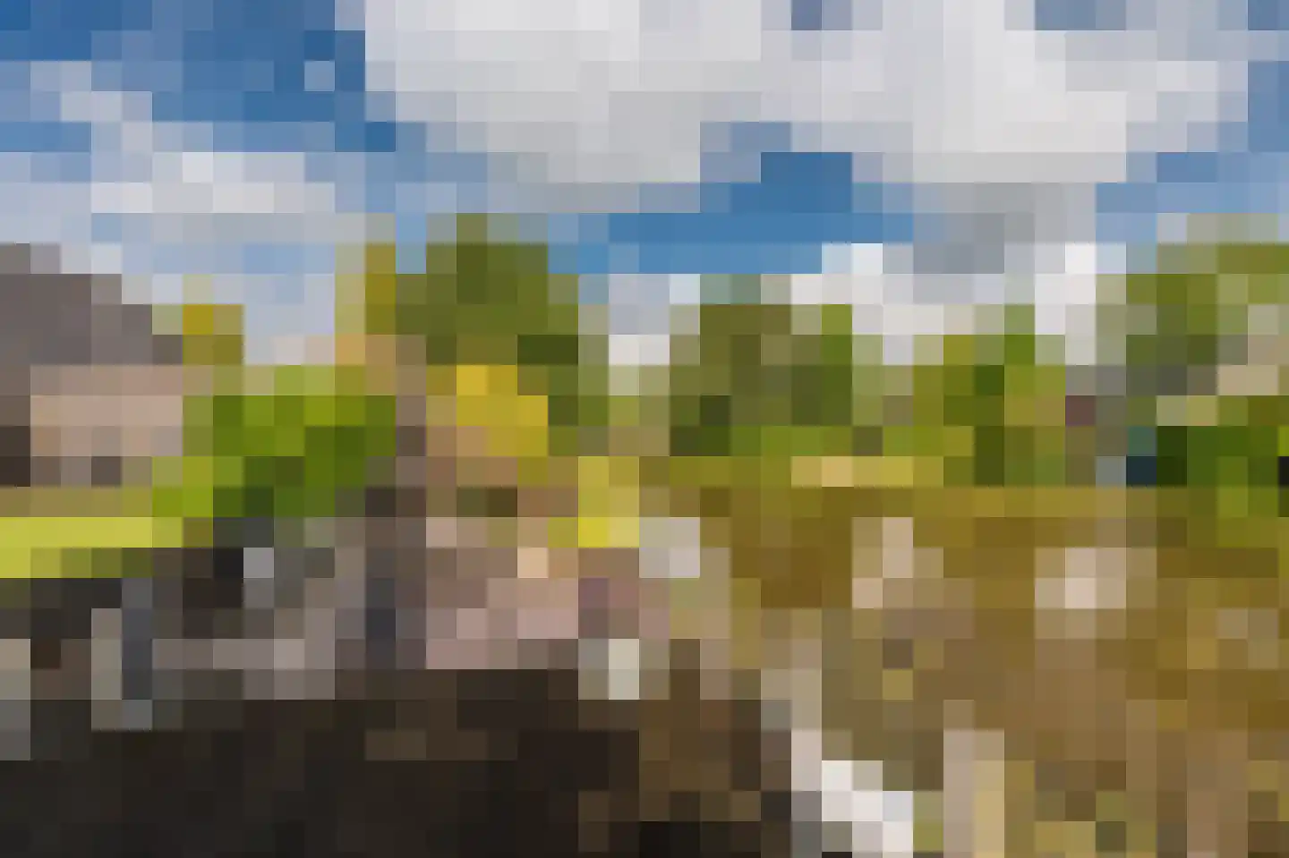 Dijkhuizenweg 90 Appingedam thumbnail 33