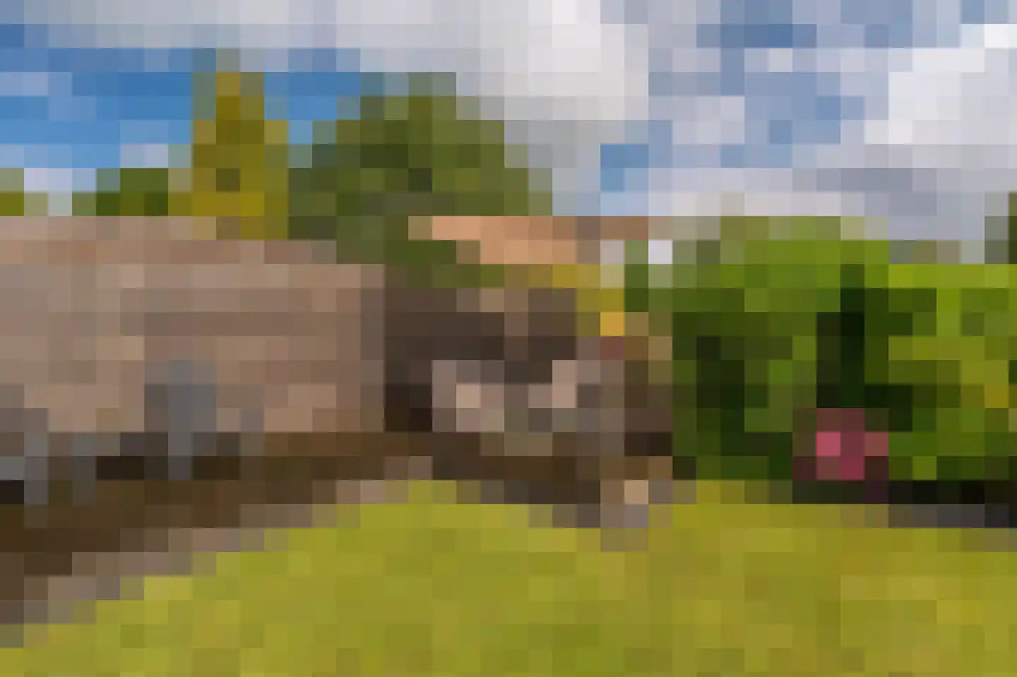 Dijkhuizenweg 90 Appingedam thumbnail 4