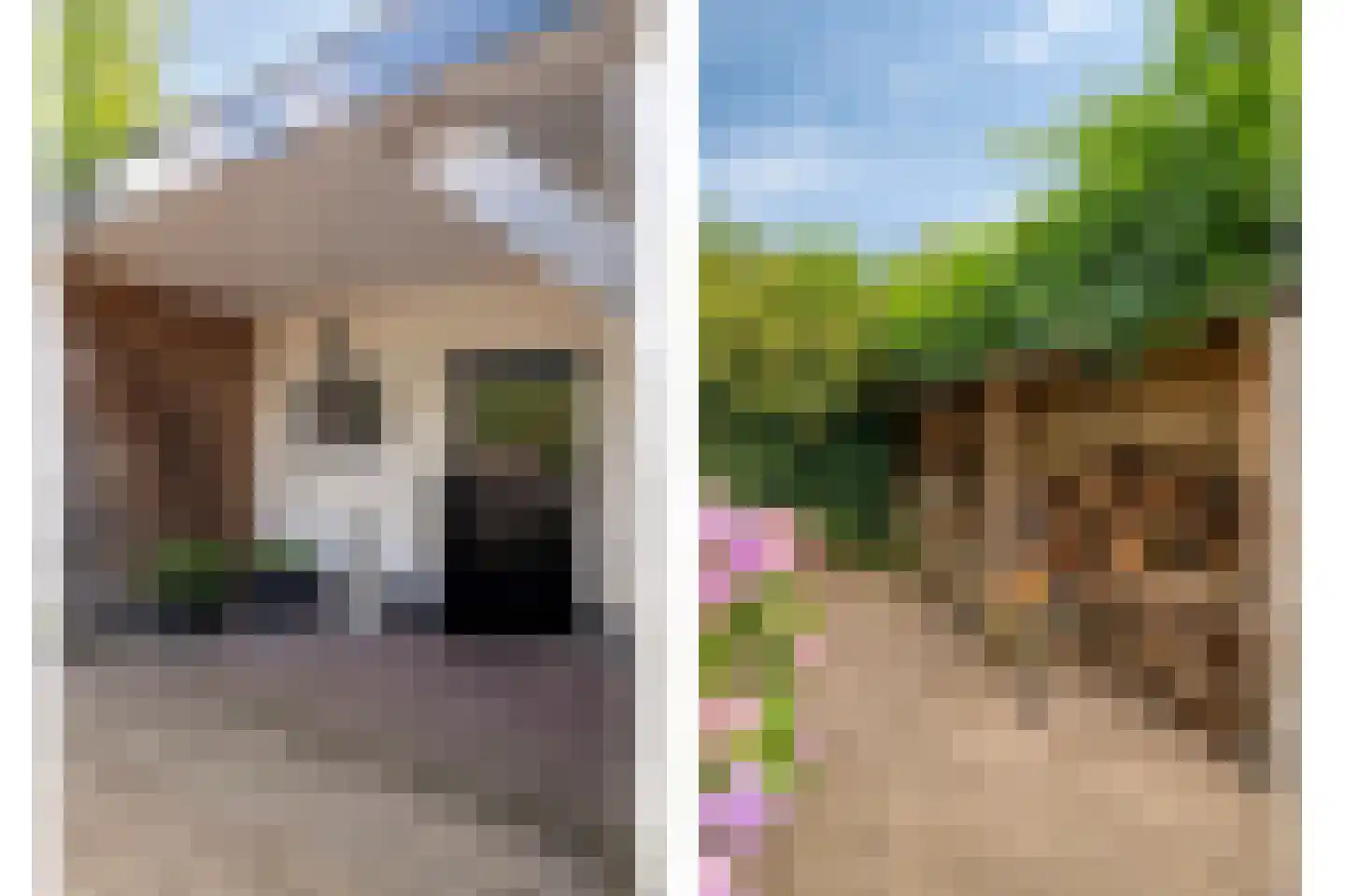 Dijkhuizerweg 34 Epe thumbnail 11