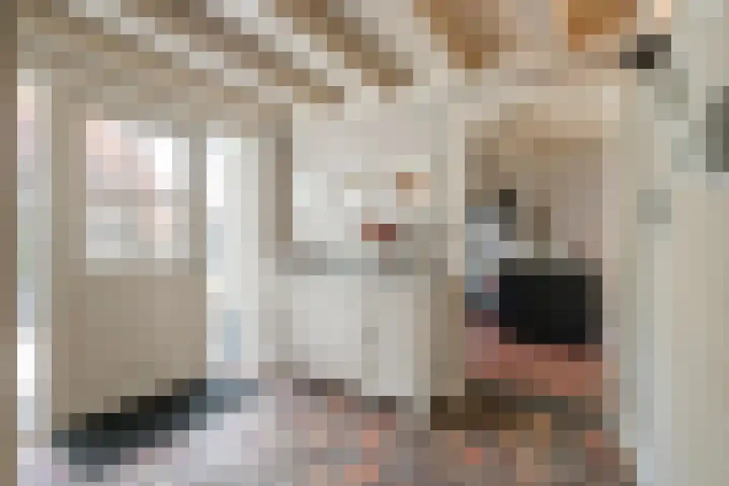 Dijkhuizerweg 34 Epe thumbnail 12
