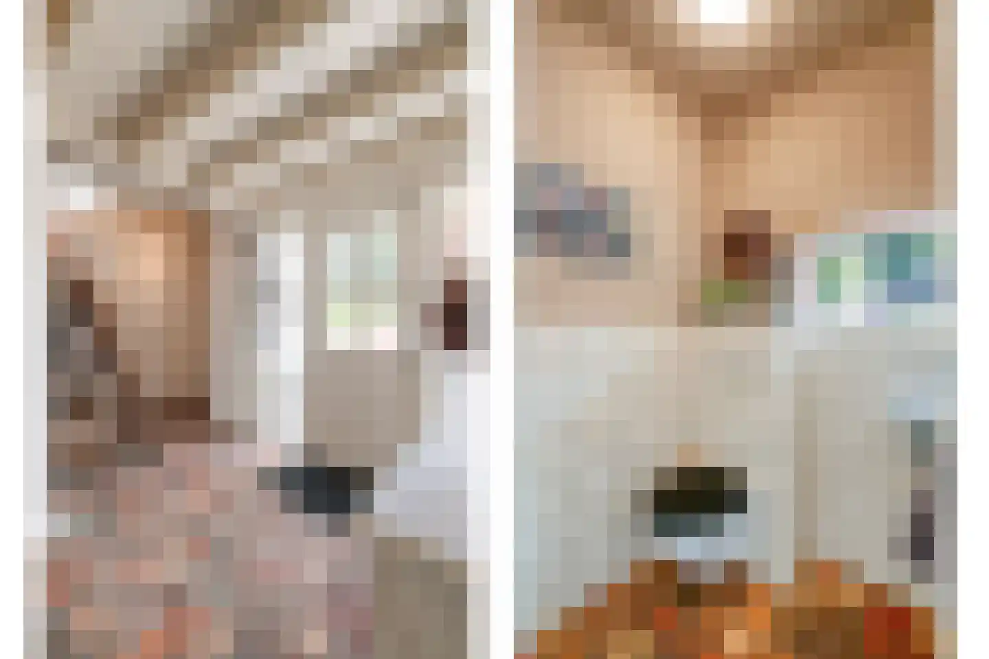 Dijkhuizerweg 34 Epe thumbnail 13