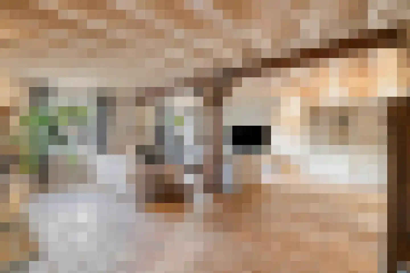Dijkhuizerweg 34 Epe thumbnail 14