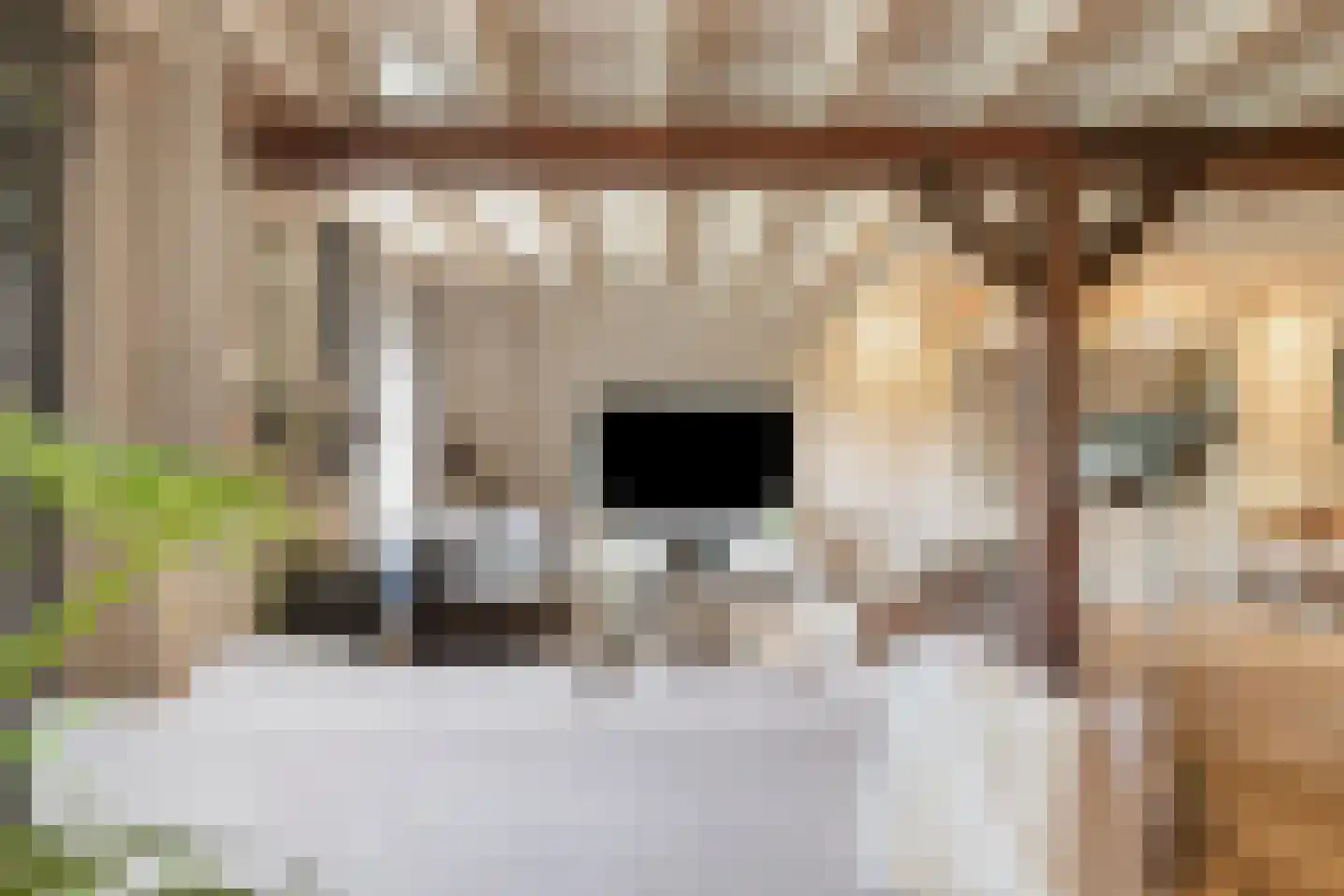 Dijkhuizerweg 34 Epe thumbnail 15