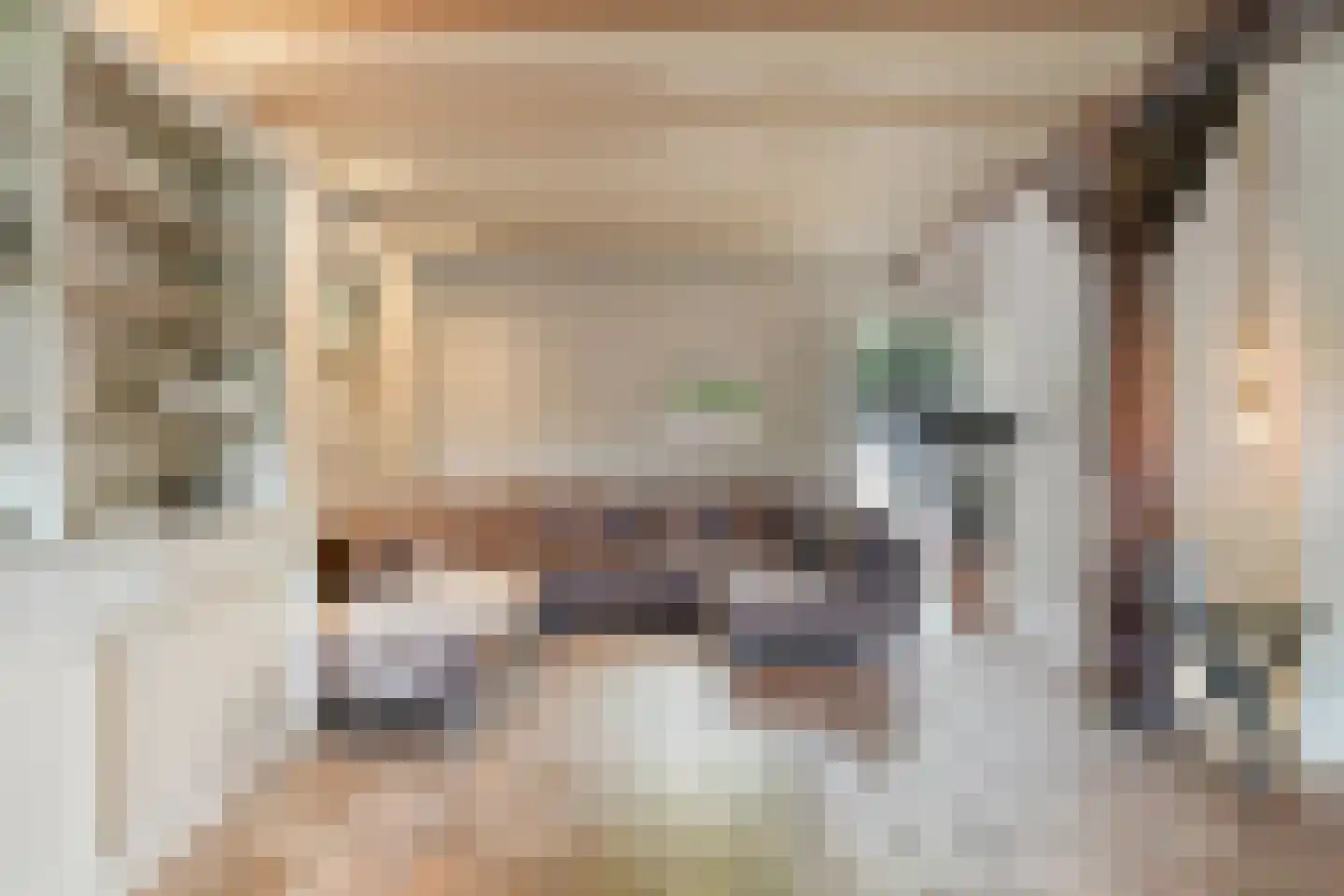 Dijkhuizerweg 34 Epe thumbnail 17
