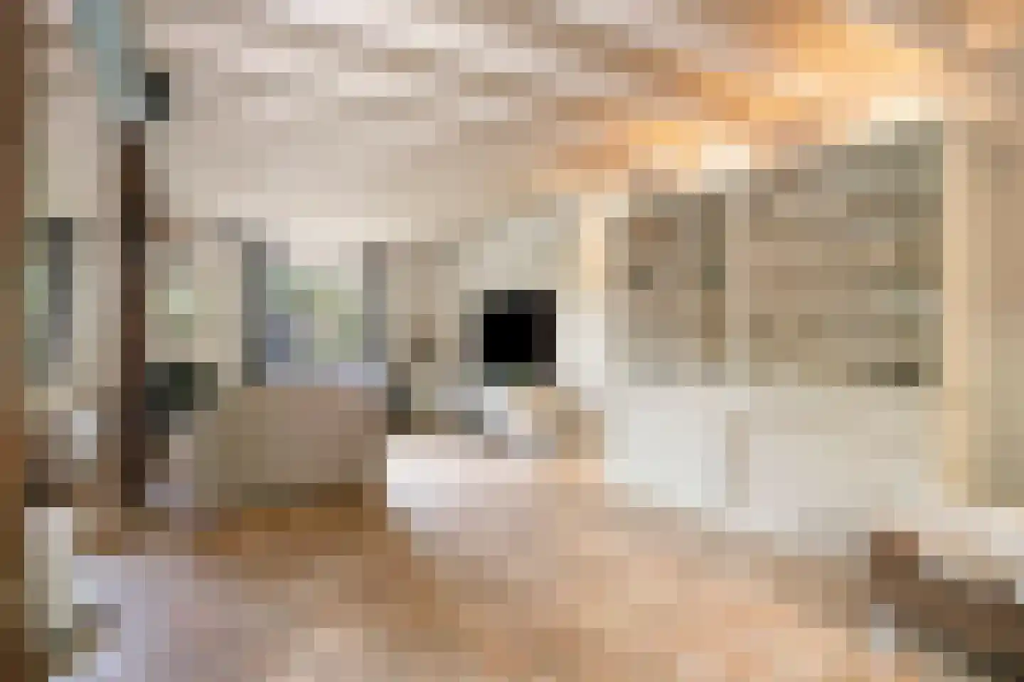 Dijkhuizerweg 34 Epe thumbnail 18