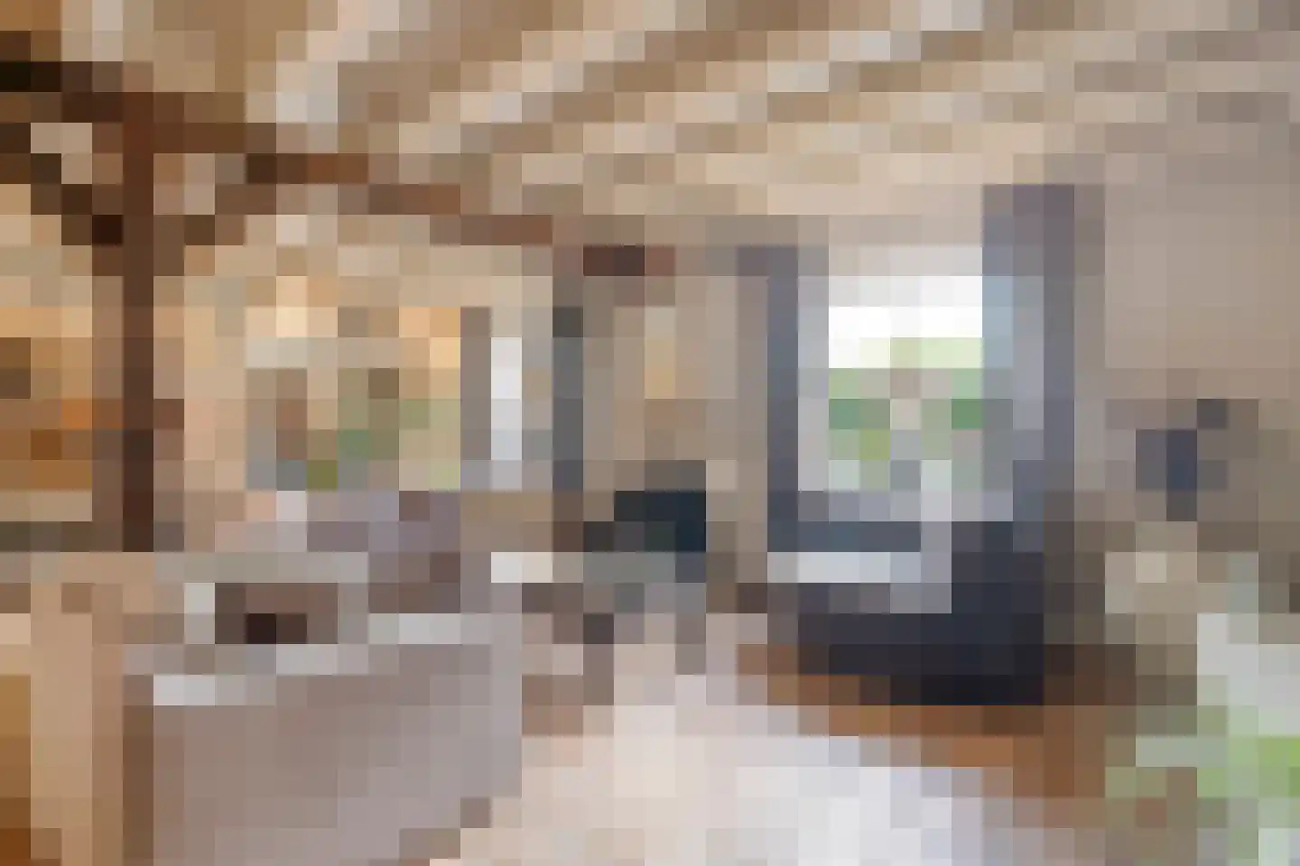 Dijkhuizerweg 34 Epe thumbnail 19