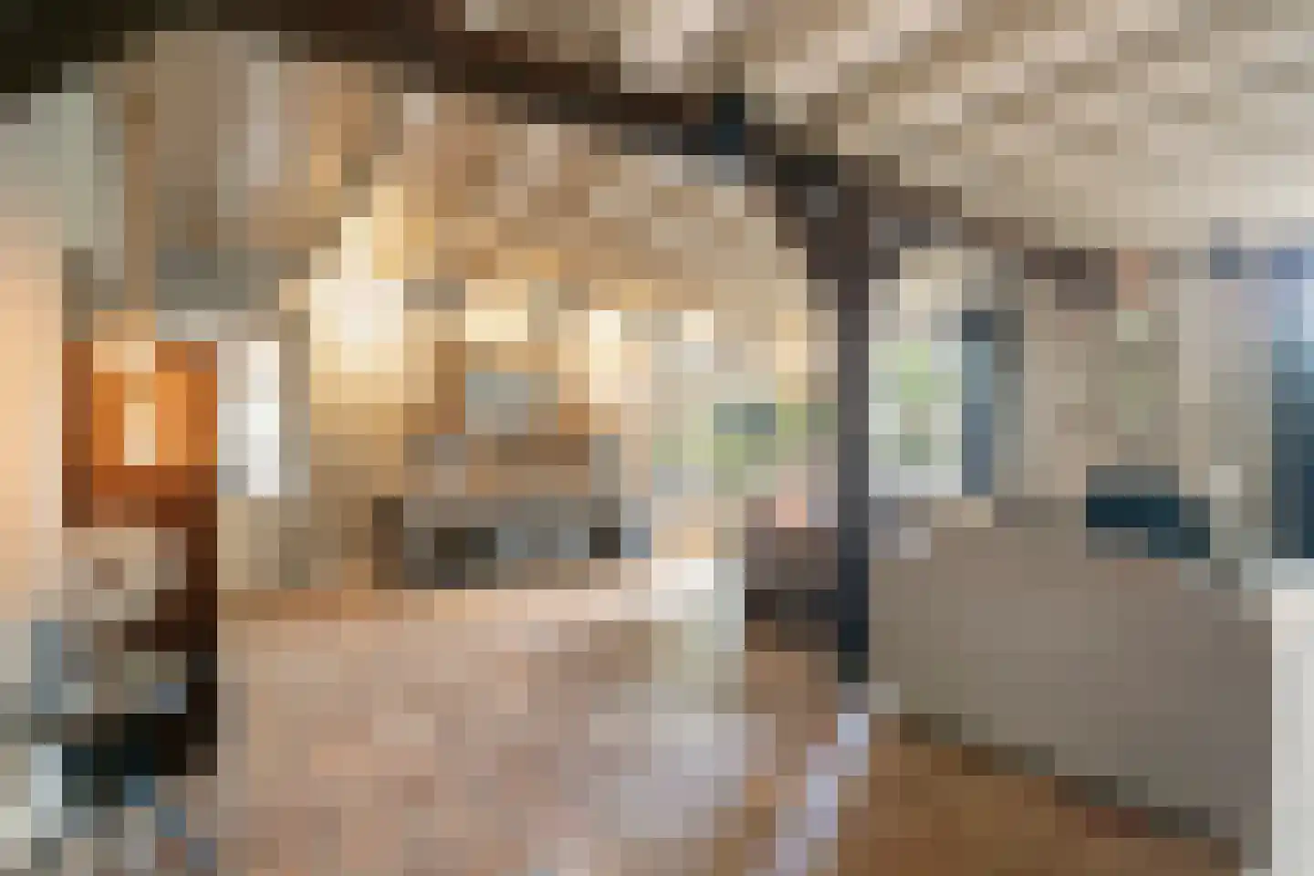 Dijkhuizerweg 34 Epe thumbnail 20
