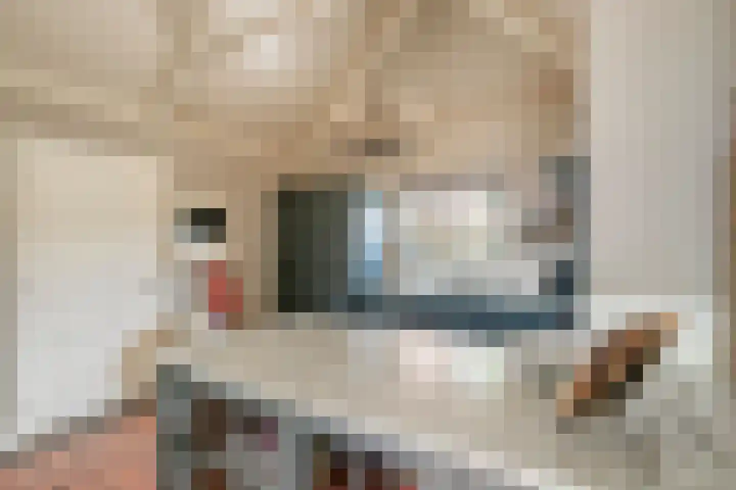 Dijkhuizerweg 34 Epe thumbnail 22