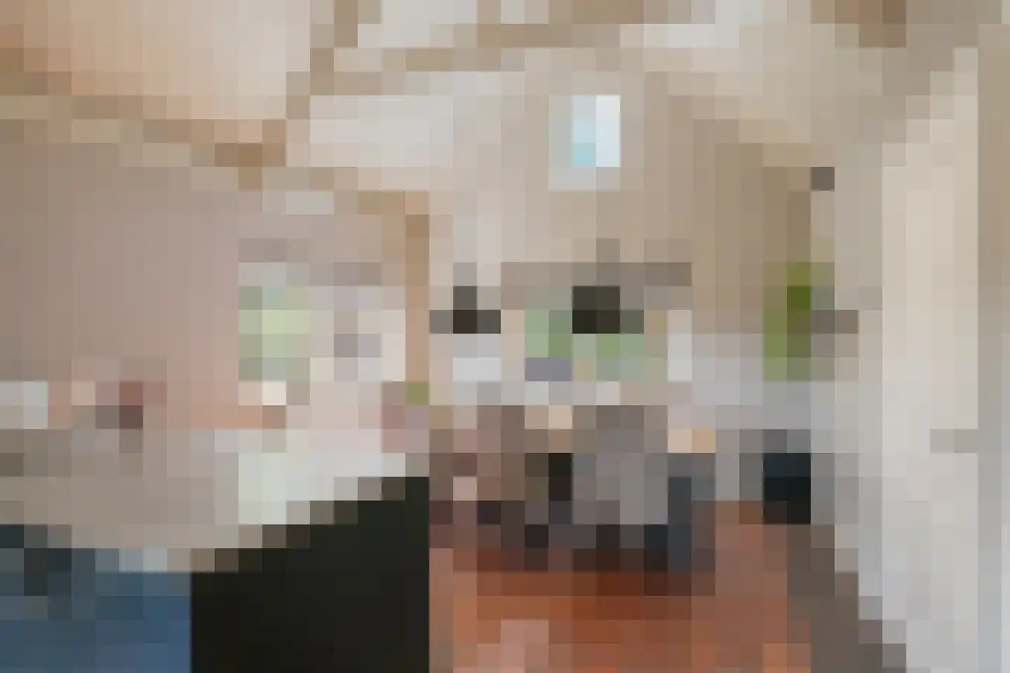 Dijkhuizerweg 34 Epe thumbnail 26