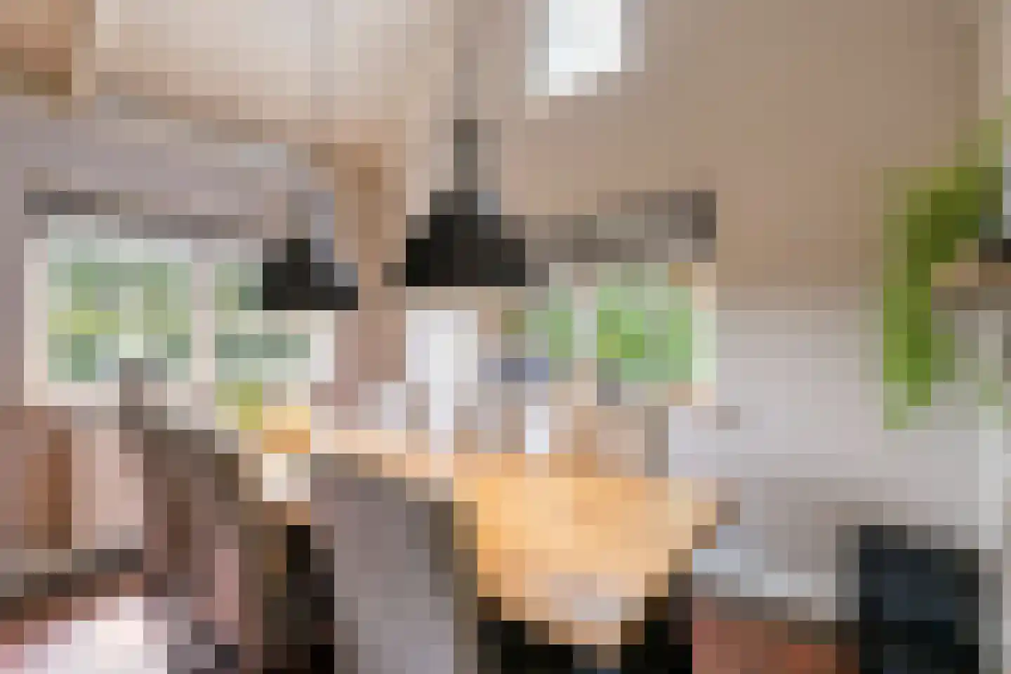 Dijkhuizerweg 34 Epe thumbnail 27