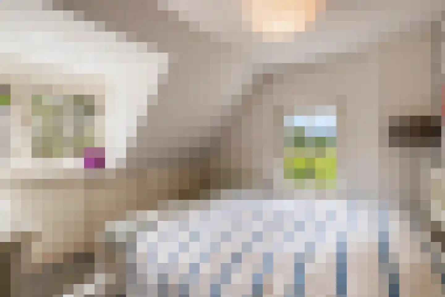 Dijkhuizerweg 34 Epe thumbnail 30
