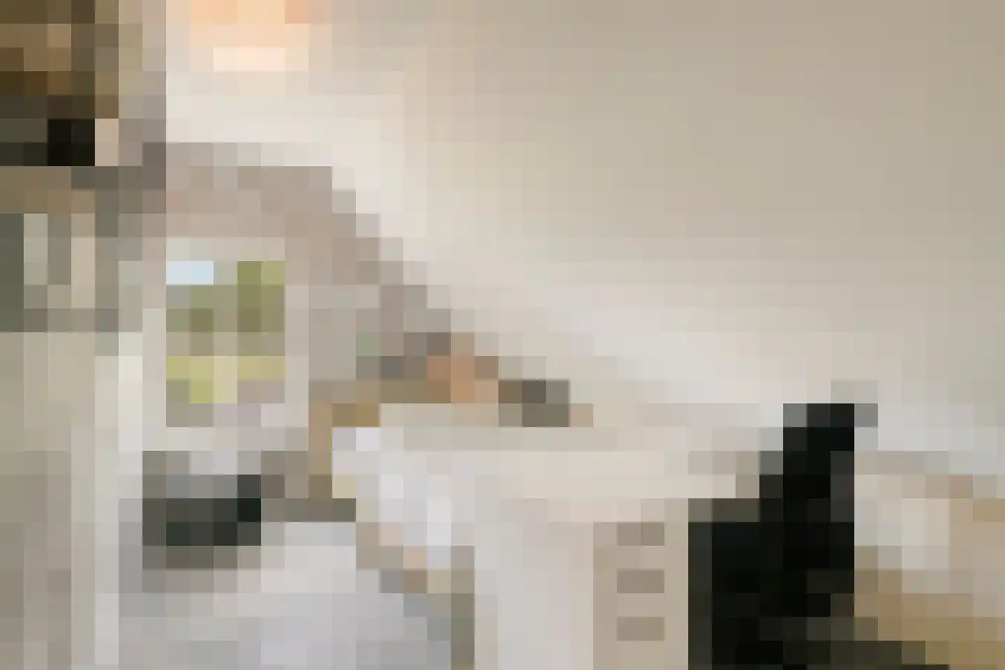 Dijkhuizerweg 34 Epe thumbnail 32