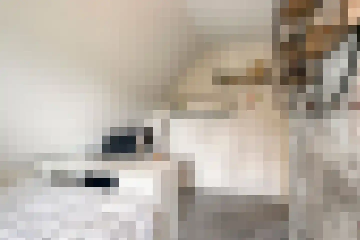 Dijkhuizerweg 34 Epe thumbnail 33