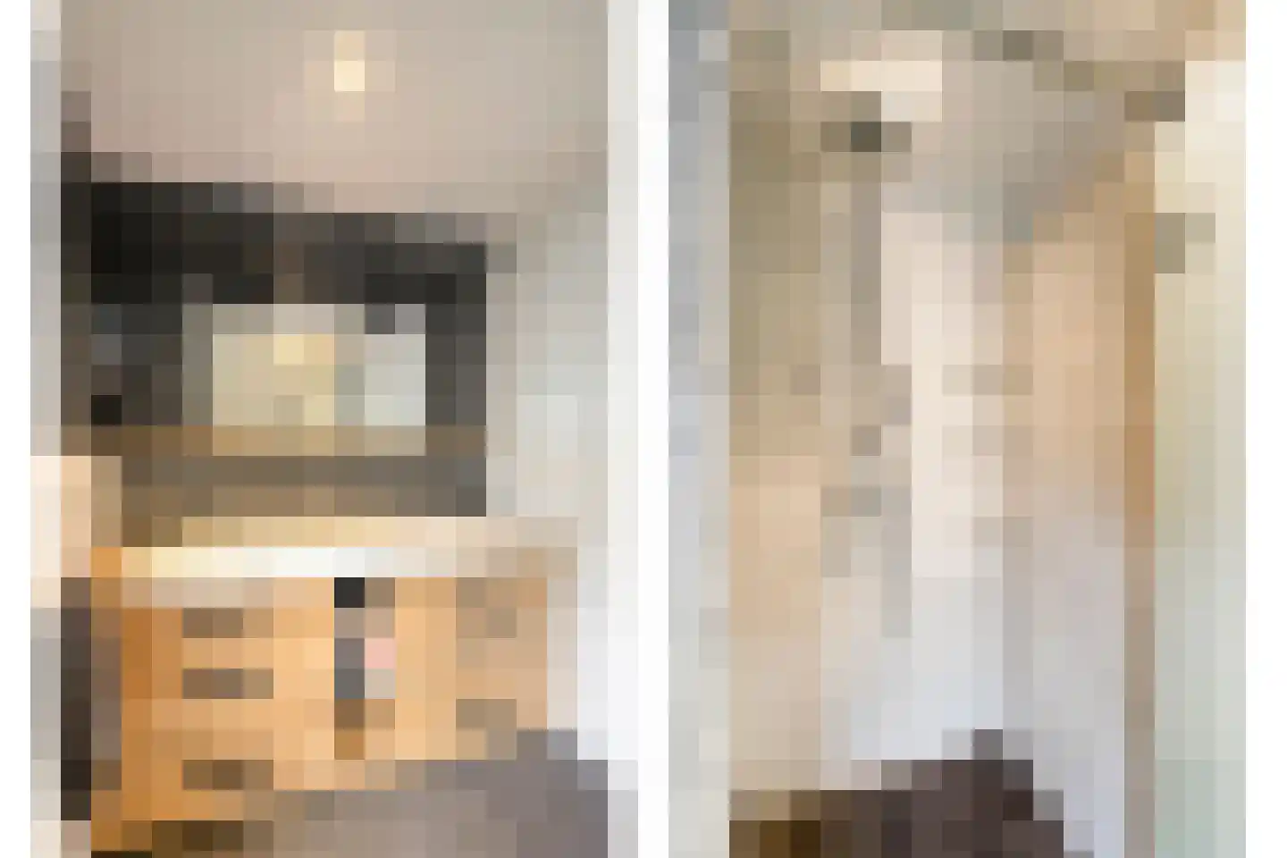 Dijkhuizerweg 34 Epe thumbnail 36