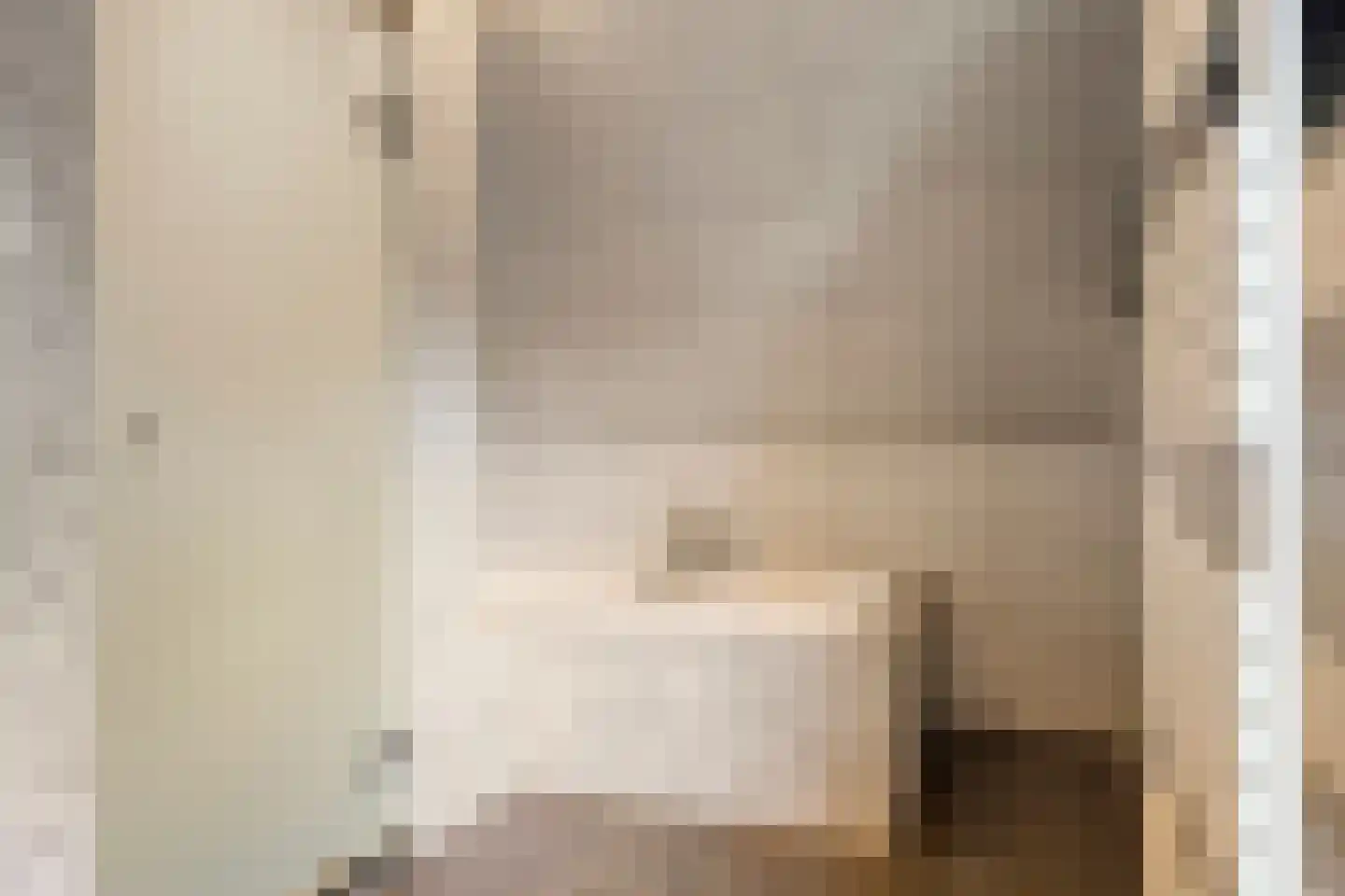 Dijkhuizerweg 34 Epe thumbnail 37