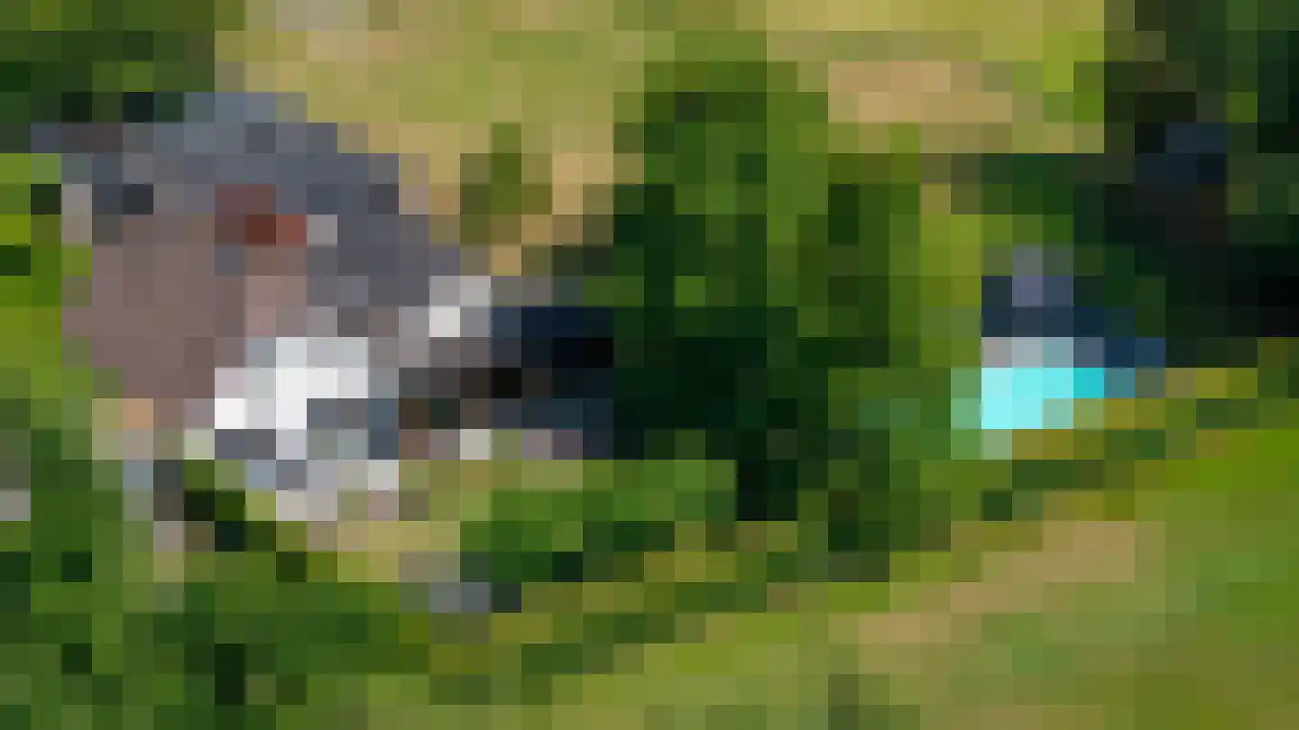 Dijkhuizerweg 34 Epe thumbnail 39
