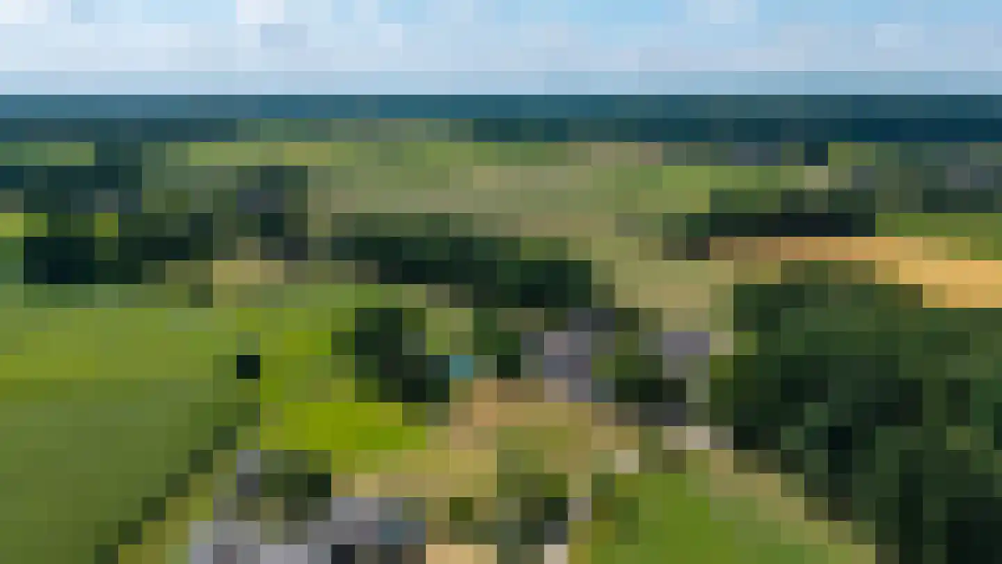 Dijkhuizerweg 34 Epe thumbnail 40