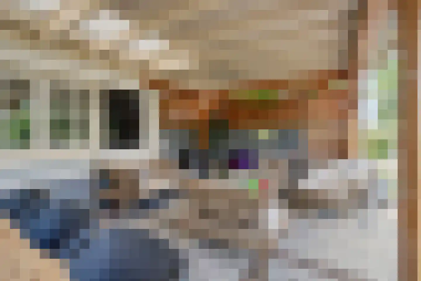 Dijkhuizerweg 34 Epe thumbnail 42