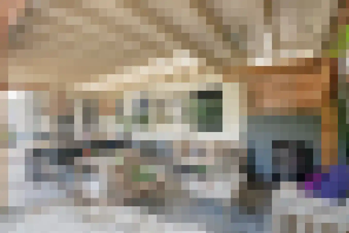 Dijkhuizerweg 34 Epe thumbnail 43