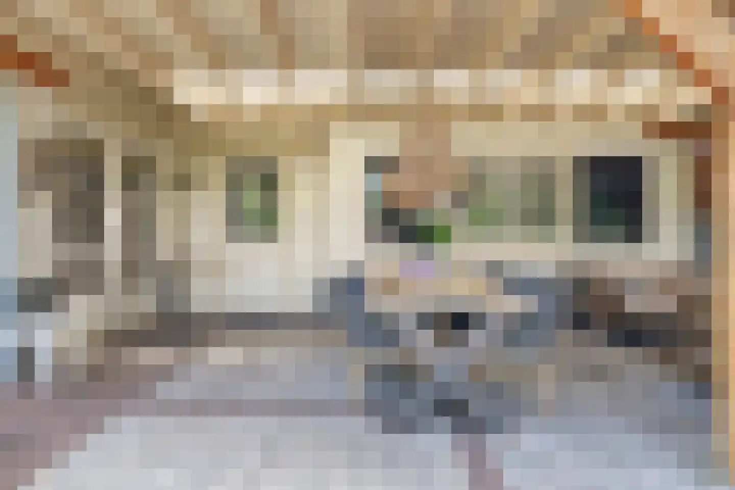 Dijkhuizerweg 34 Epe thumbnail 44
