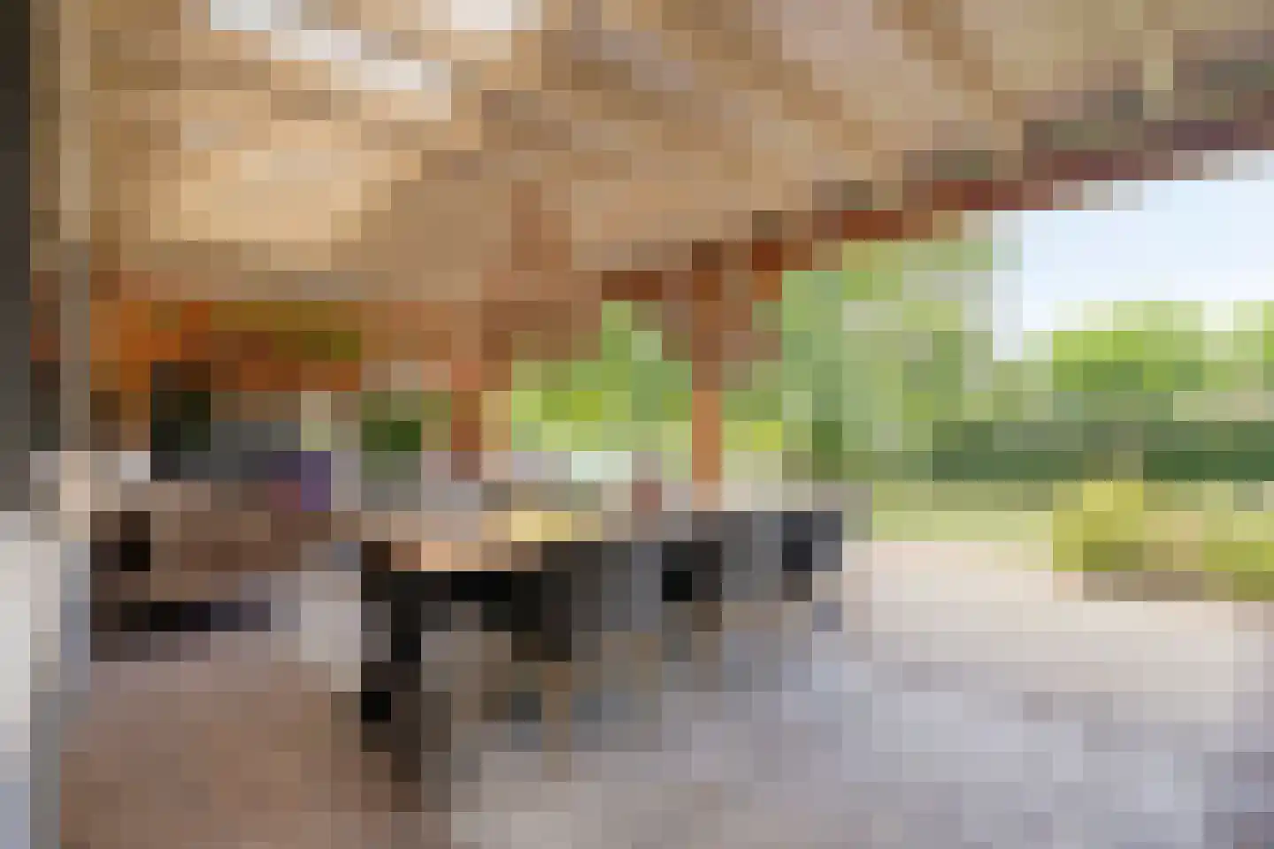 Dijkhuizerweg 34 Epe thumbnail 45