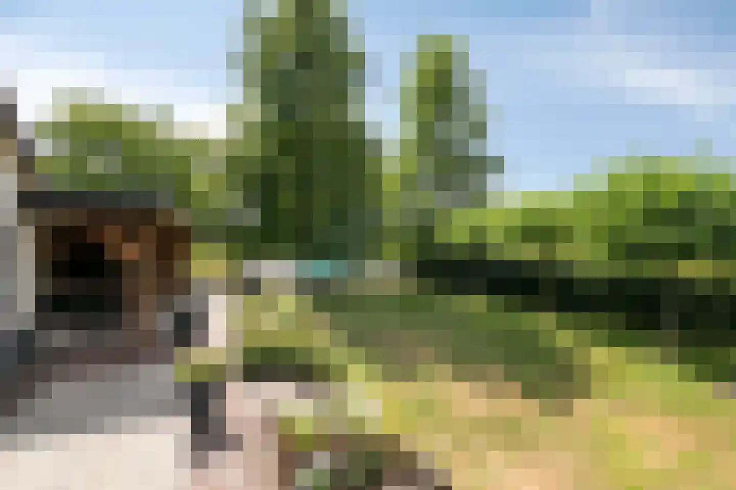 Dijkhuizerweg 34 Epe thumbnail 46