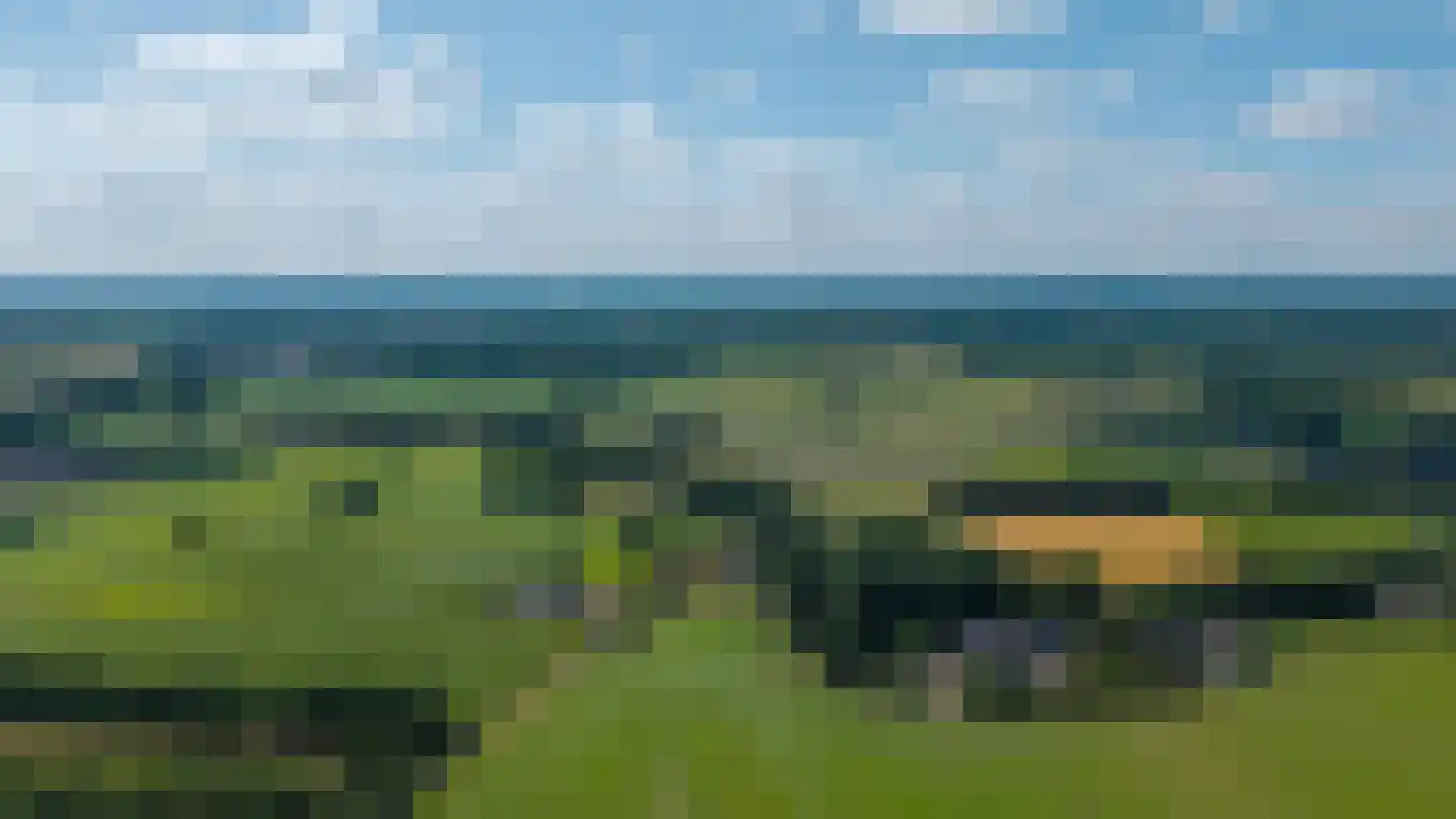 Dijkhuizerweg 34 Epe thumbnail 5
