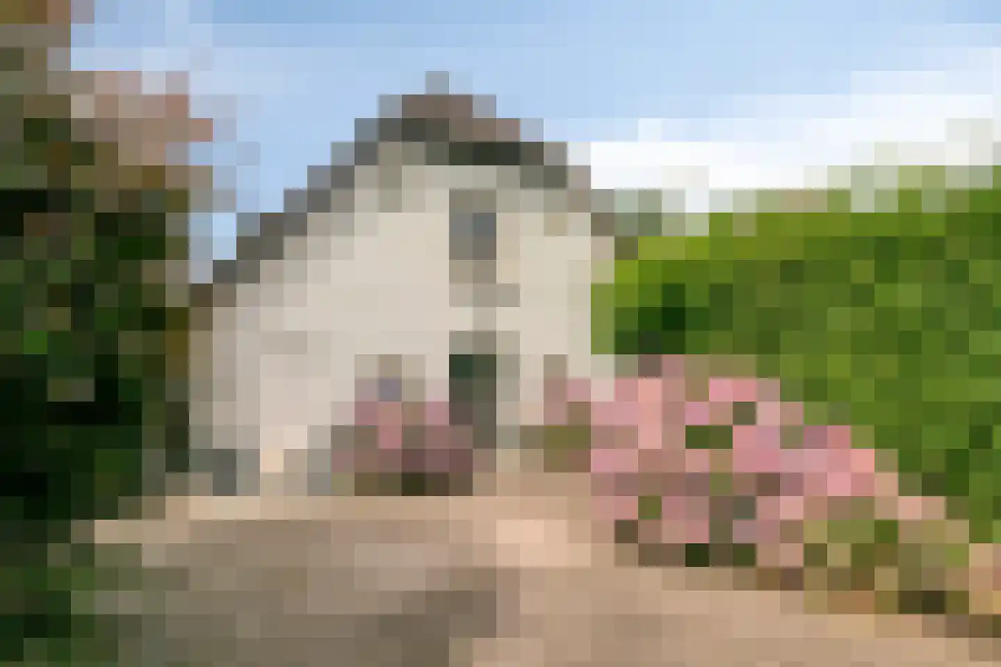 Dijkhuizerweg 34 Epe thumbnail 51