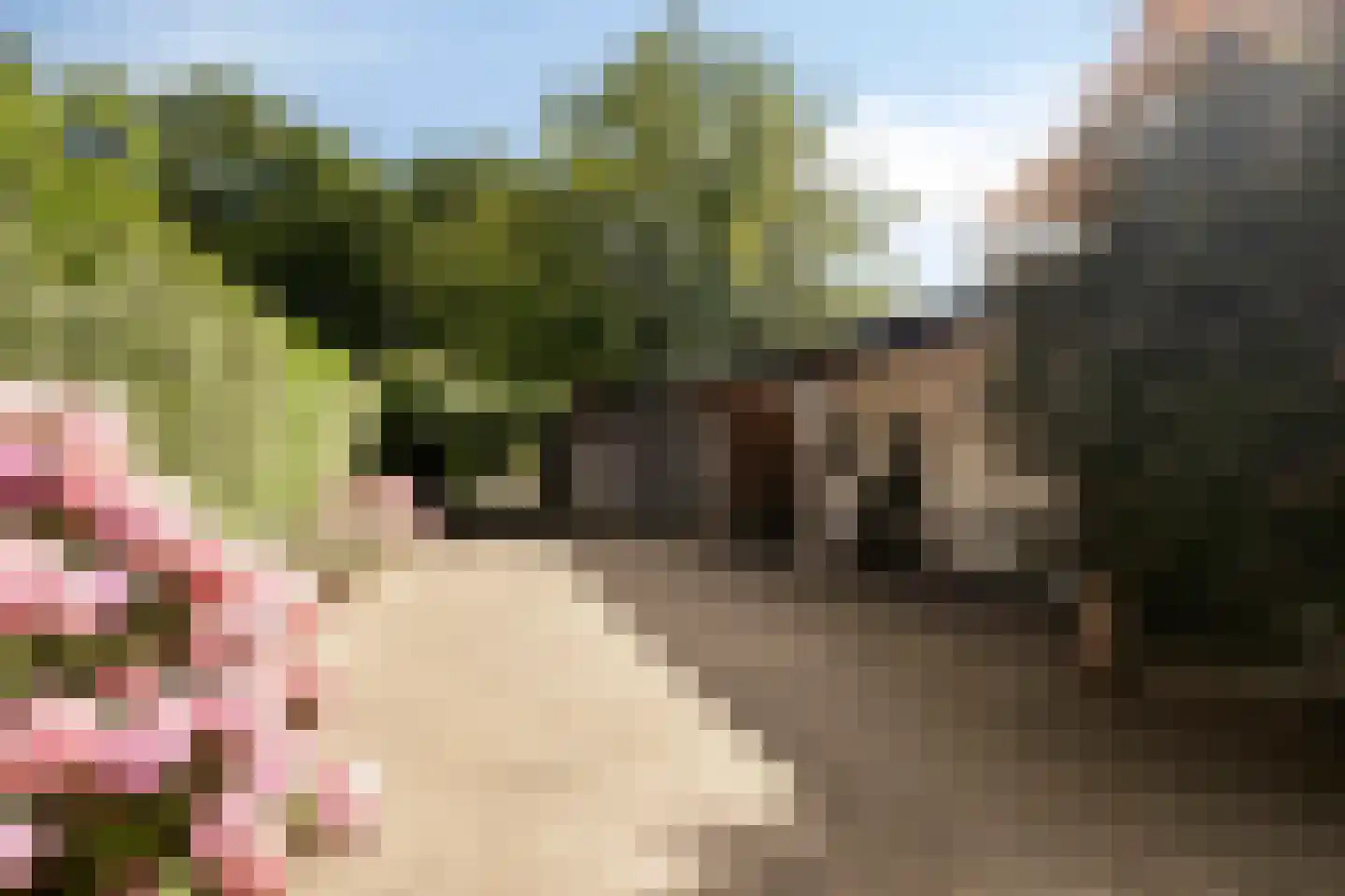 Dijkhuizerweg 34 Epe thumbnail 55
