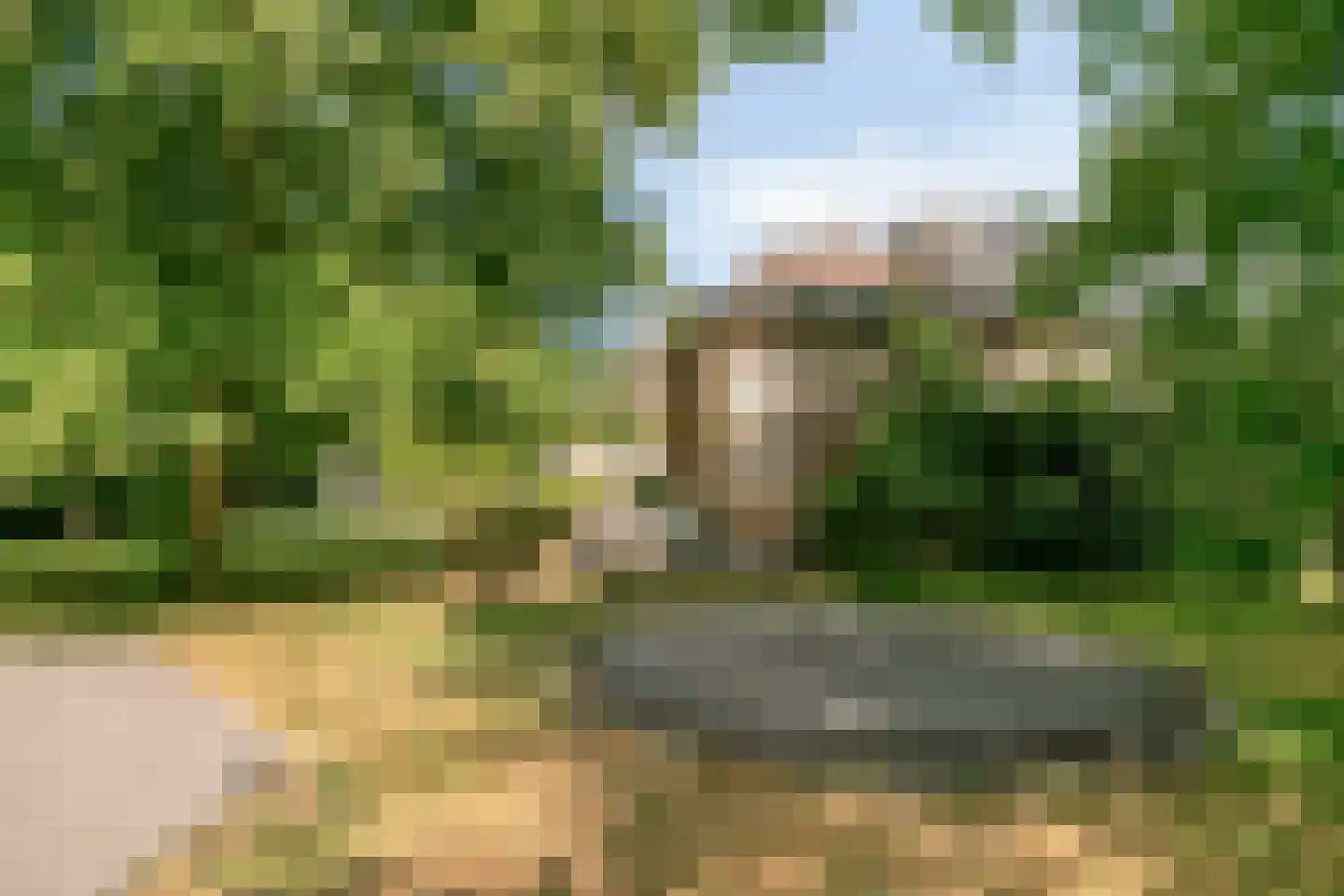 Dijkhuizerweg 34 Epe thumbnail 60