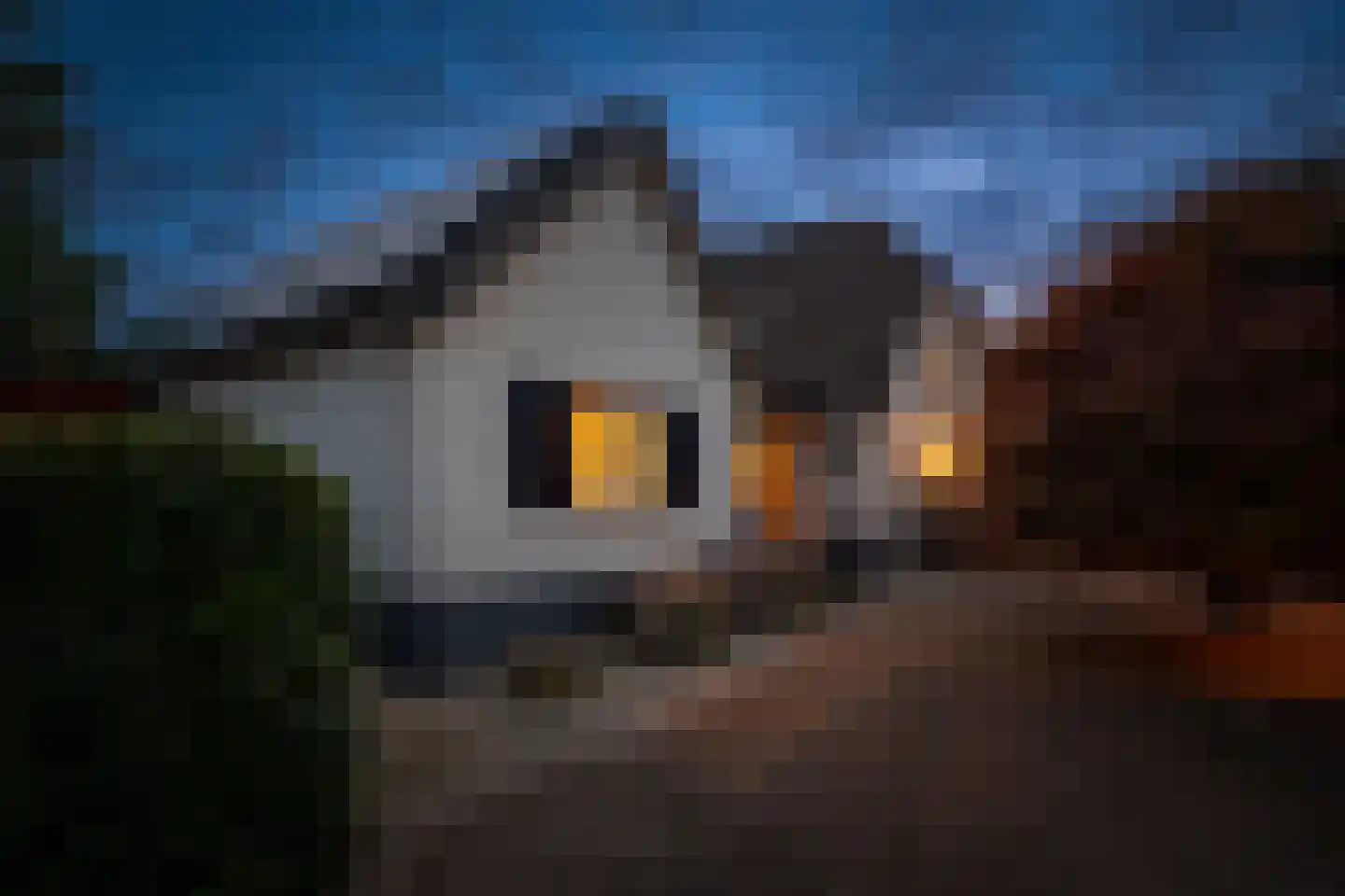 Dijkhuizerweg 34 Epe thumbnail 62