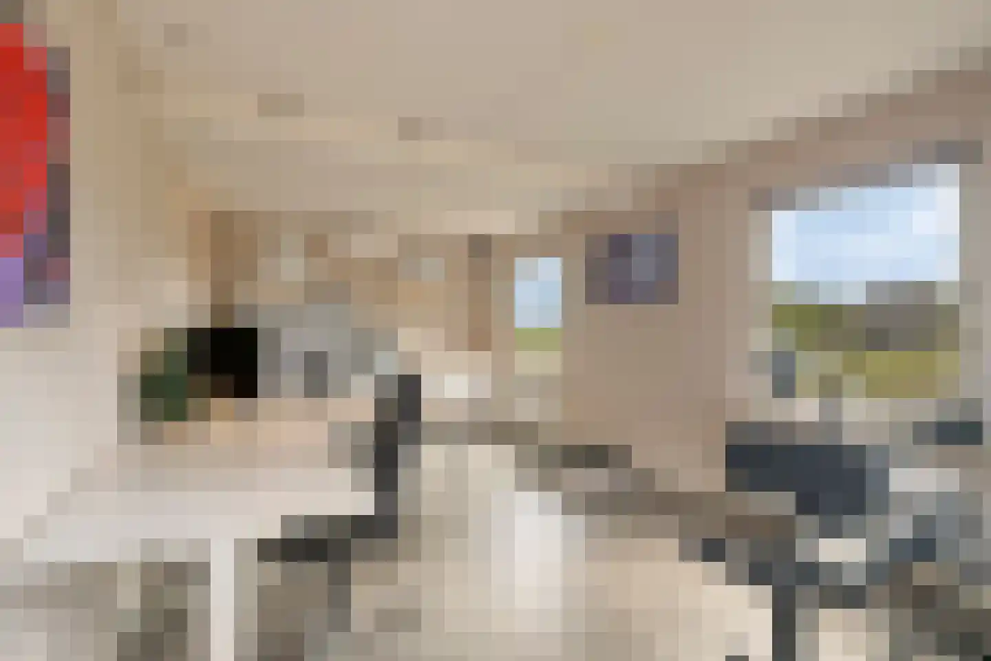 Dijkhuizerweg 34 Epe thumbnail 66