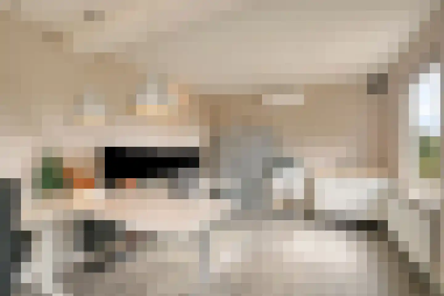 Dijkhuizerweg 34 Epe thumbnail 67