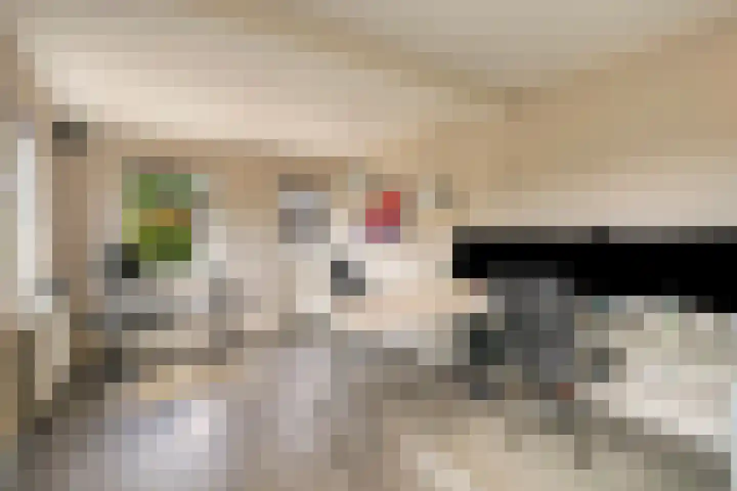 Dijkhuizerweg 34 Epe thumbnail 68