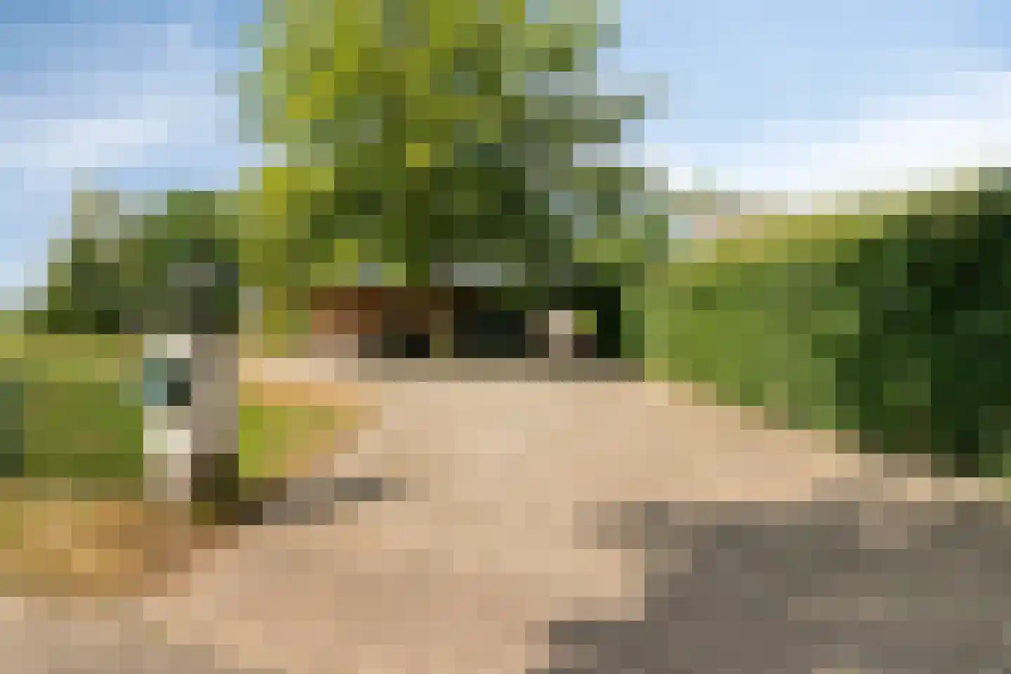 Dijkhuizerweg 34 Epe thumbnail 72