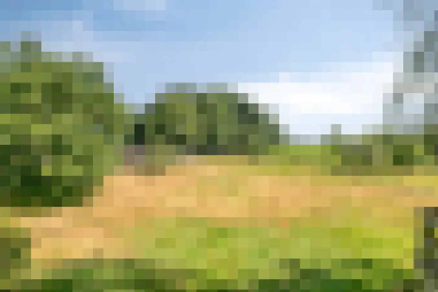 Dijkhuizerweg 34 Epe thumbnail 74