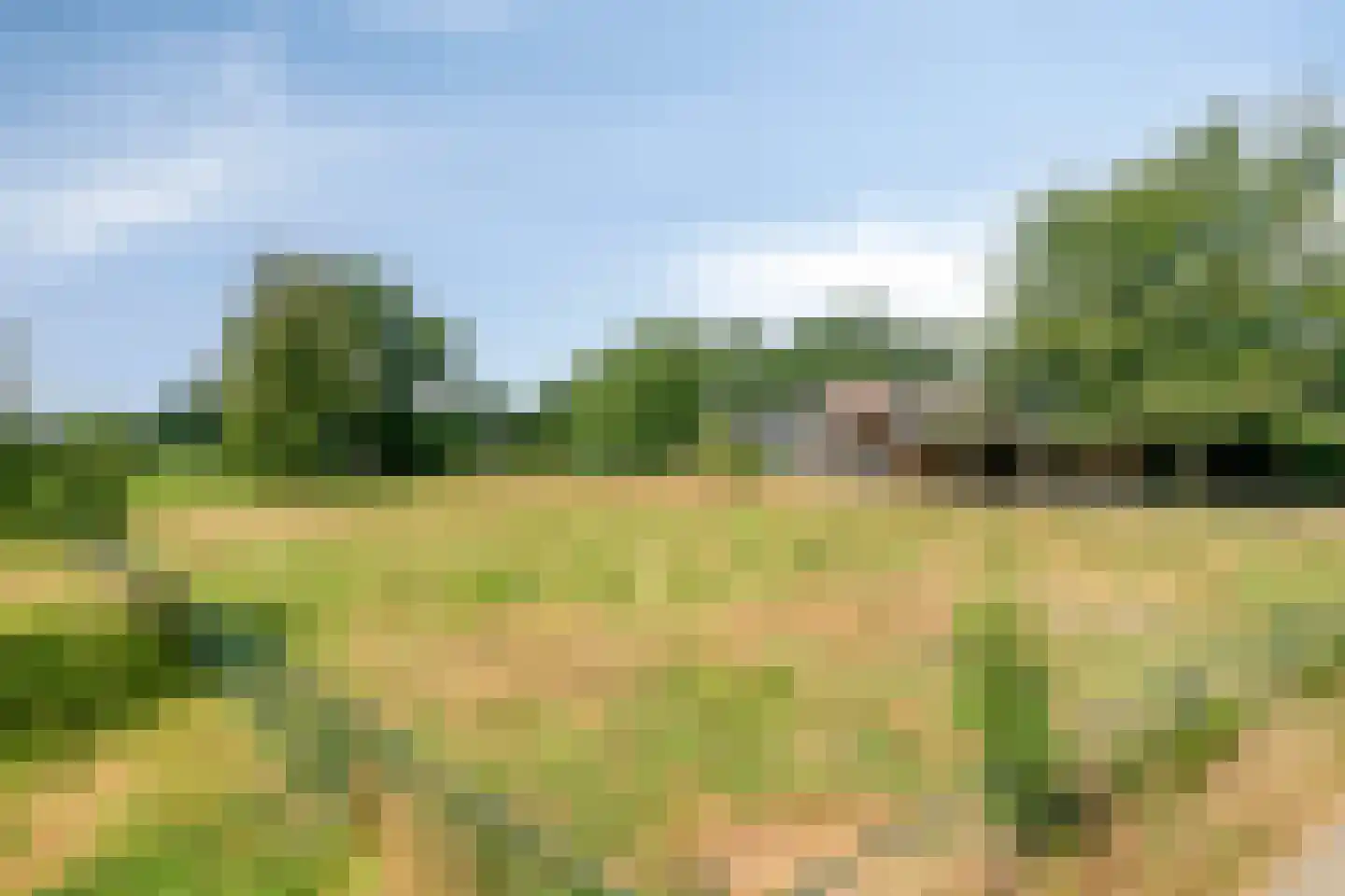 Dijkhuizerweg 34 Epe thumbnail 75