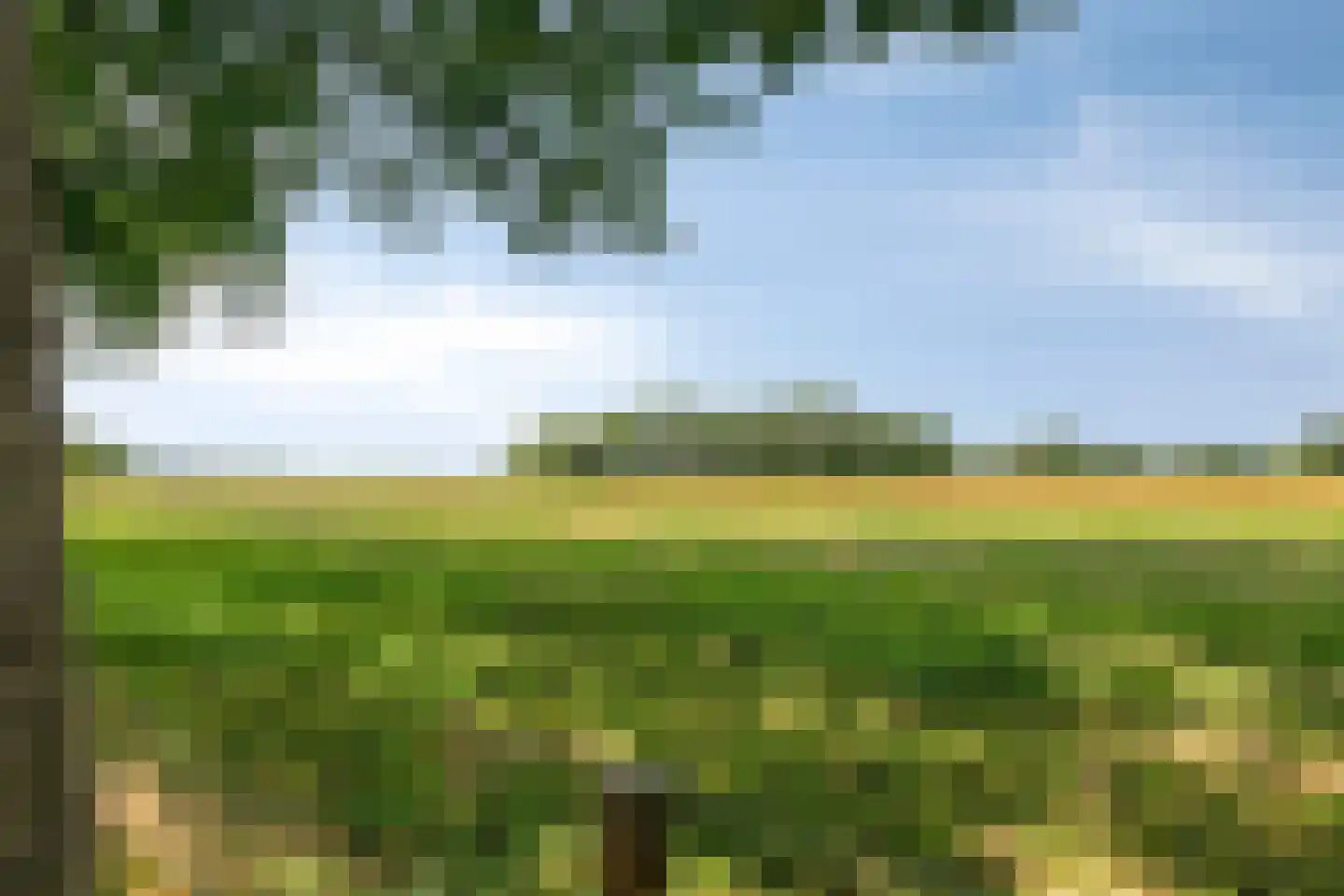 Dijkhuizerweg 34 Epe thumbnail 76