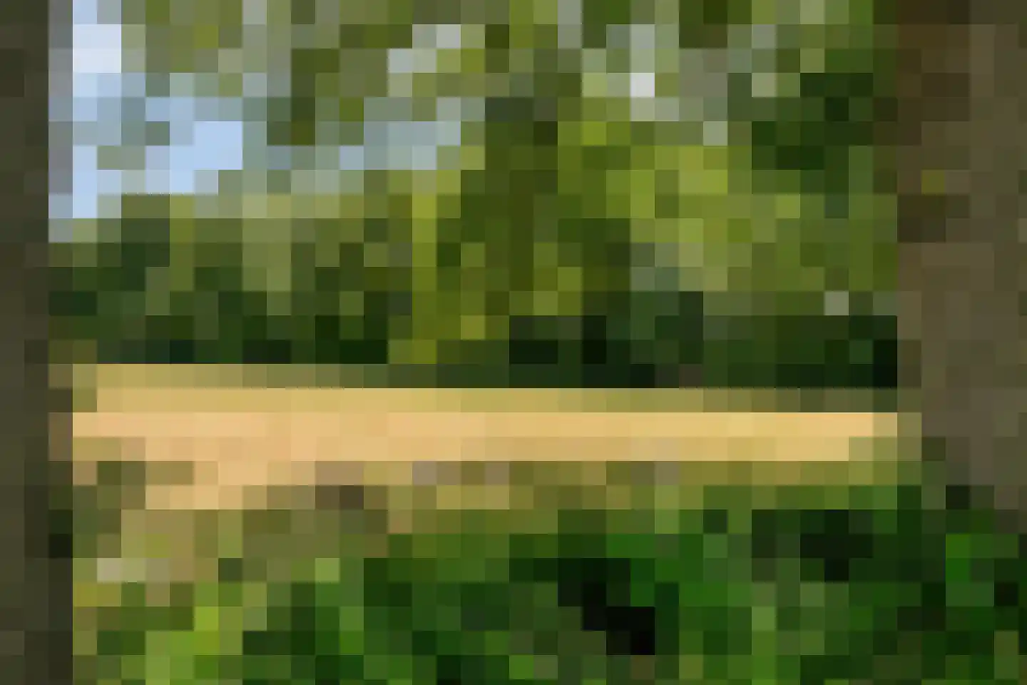 Dijkhuizerweg 34 Epe thumbnail 77