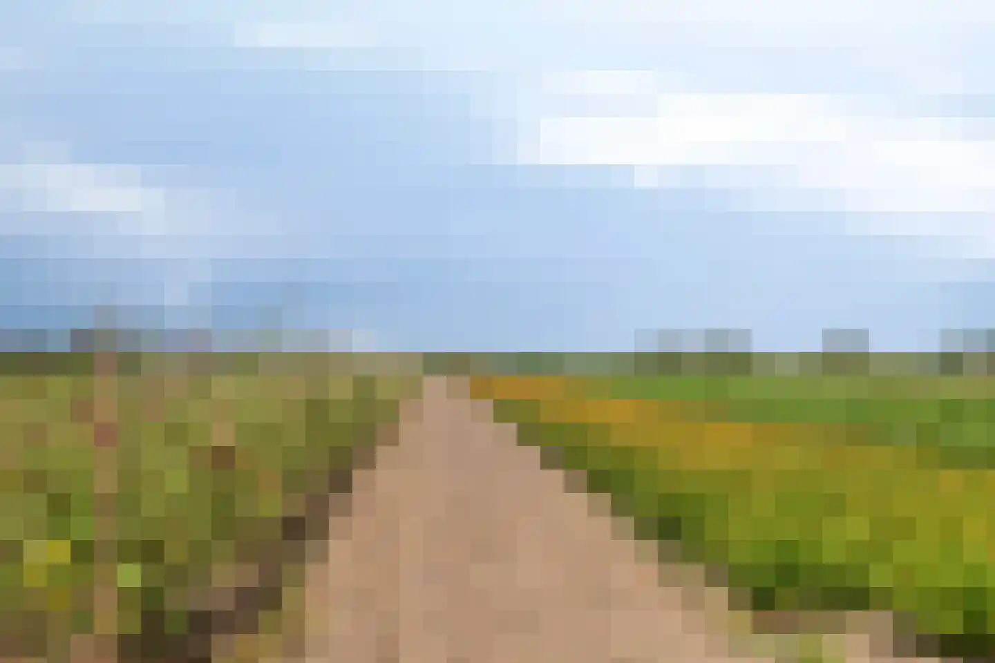 Dijkhuizerweg 34 Epe thumbnail 78