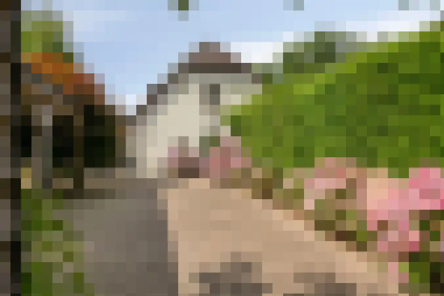 Dijkhuizerweg 34 Epe thumbnail 9