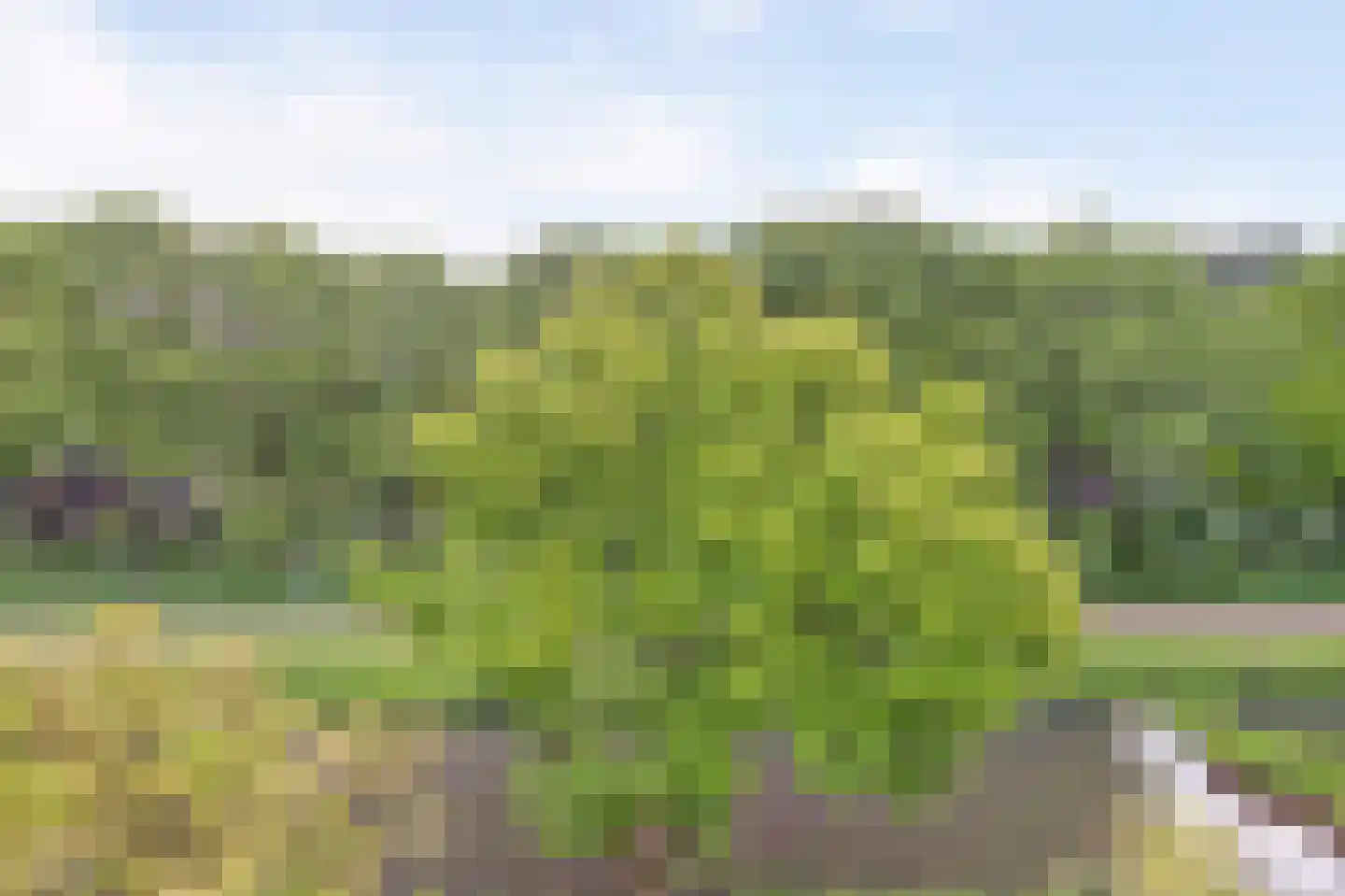 Dijkje 159 Ridderkerk thumbnail 36