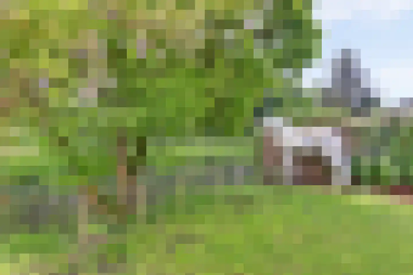Dijkje 159 Ridderkerk thumbnail 45