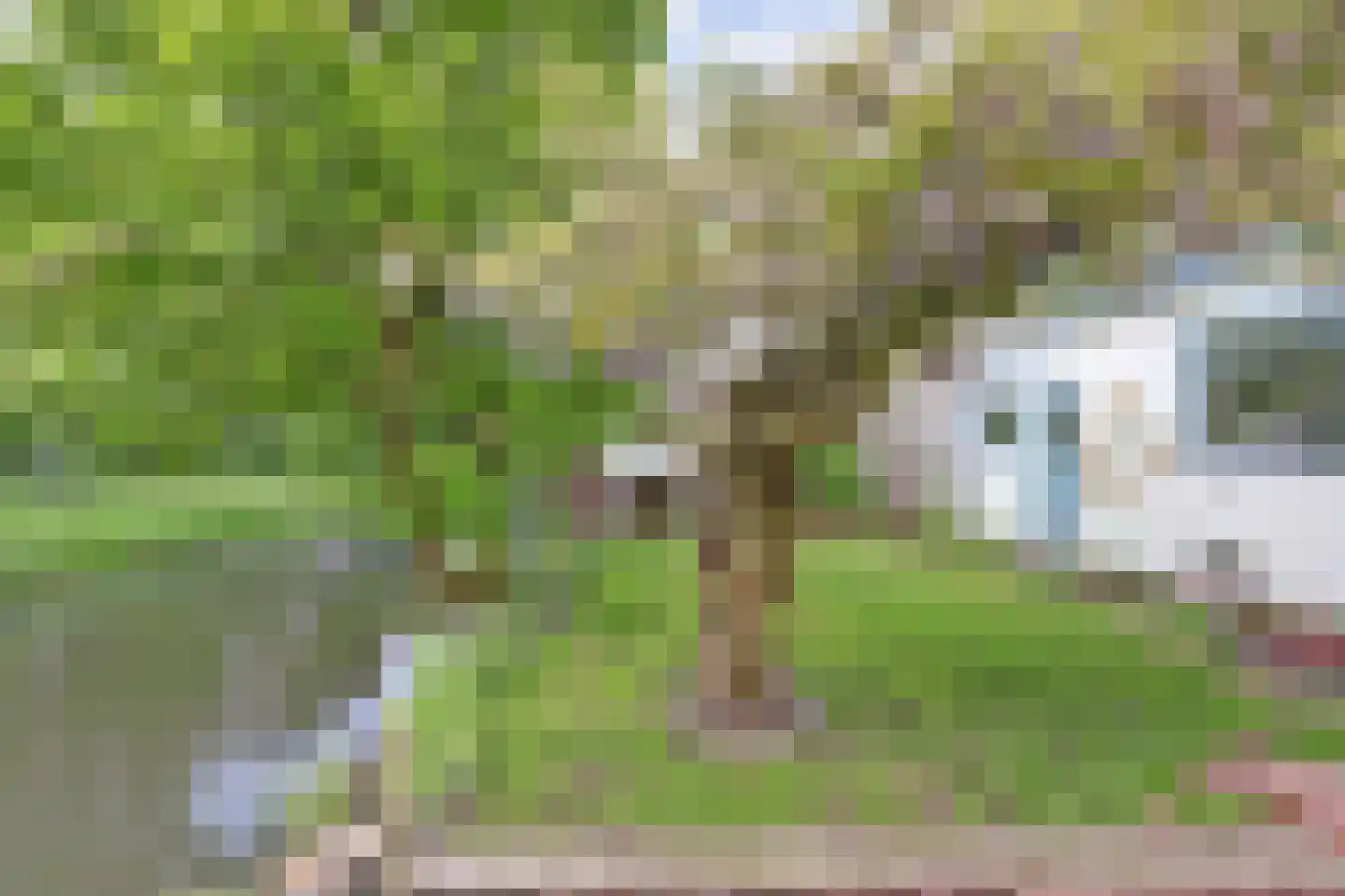 Dijkje 159 Ridderkerk thumbnail 47