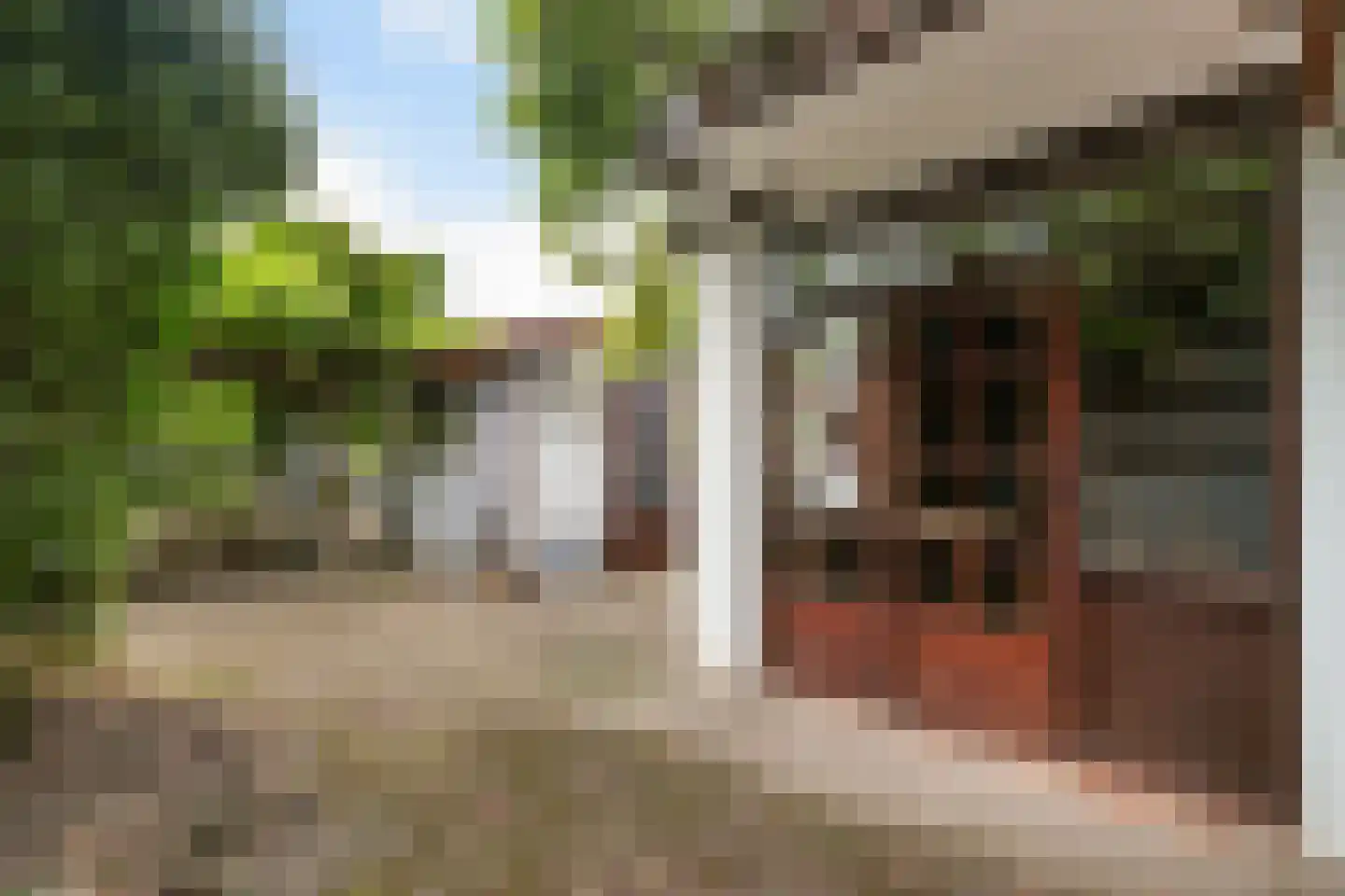 Dijkje 16 Rotterdam thumbnail 11